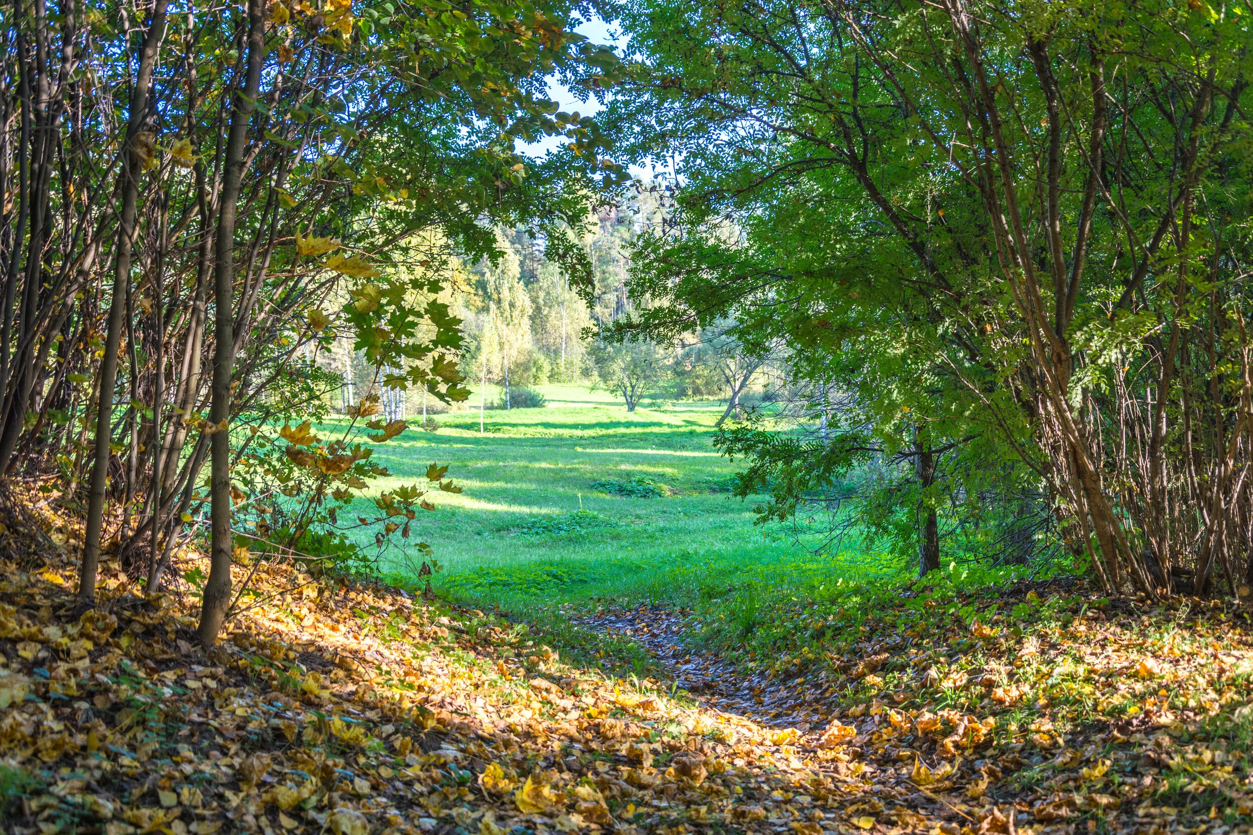 AdobeStock_78167154 - Account Access.jpeg