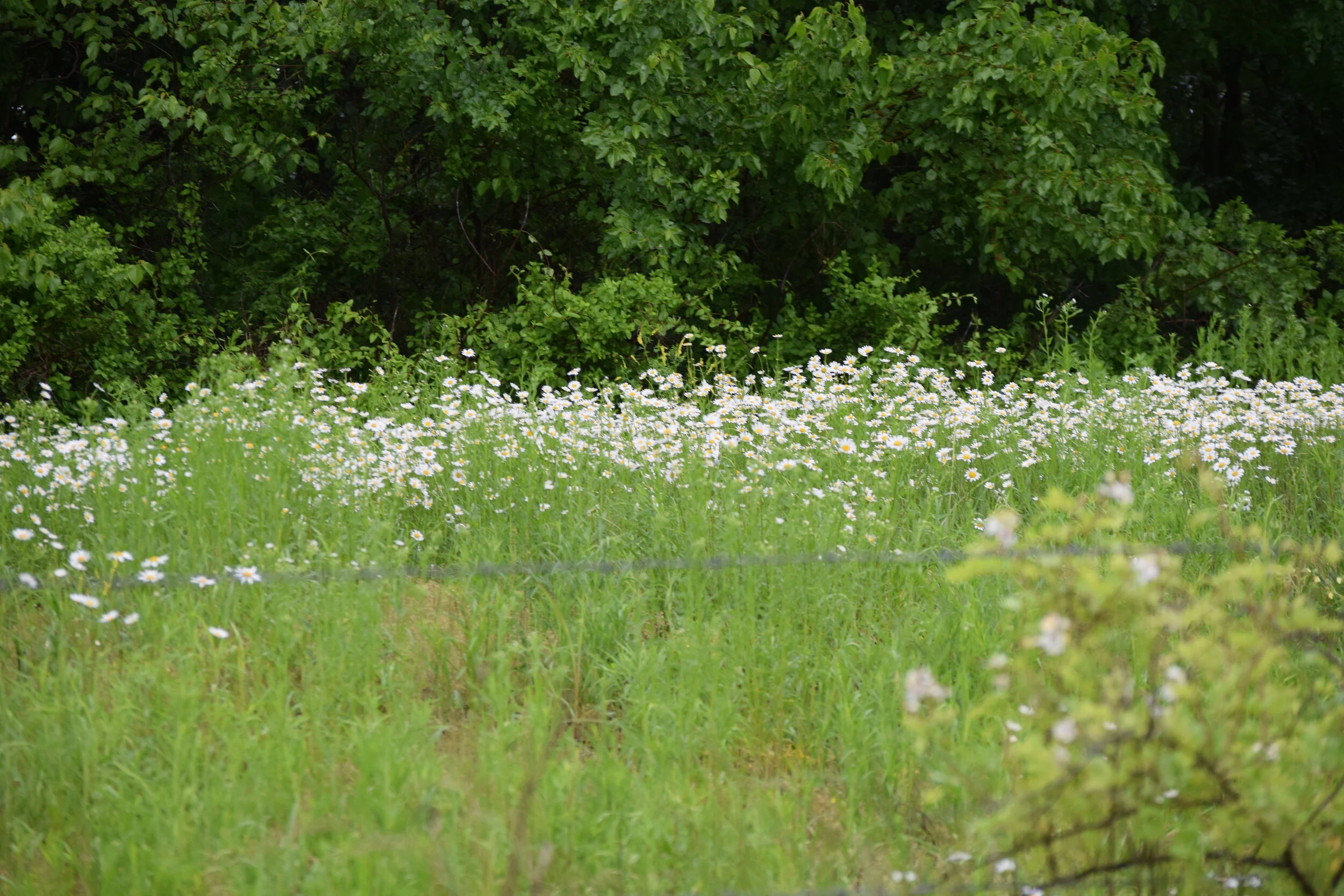 AdobeStock_269099846 - Insurance.jpeg