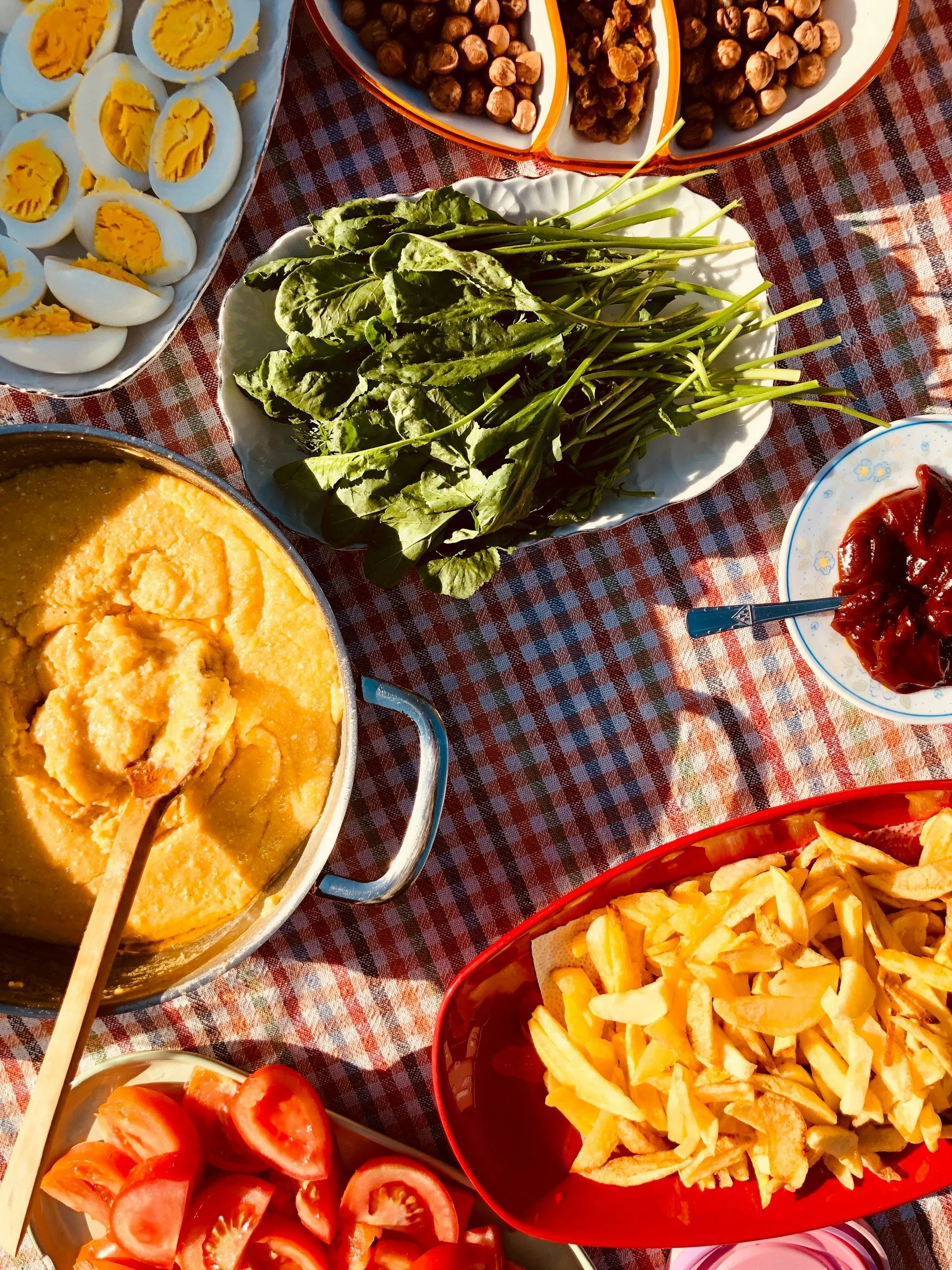 Summer Potluck
