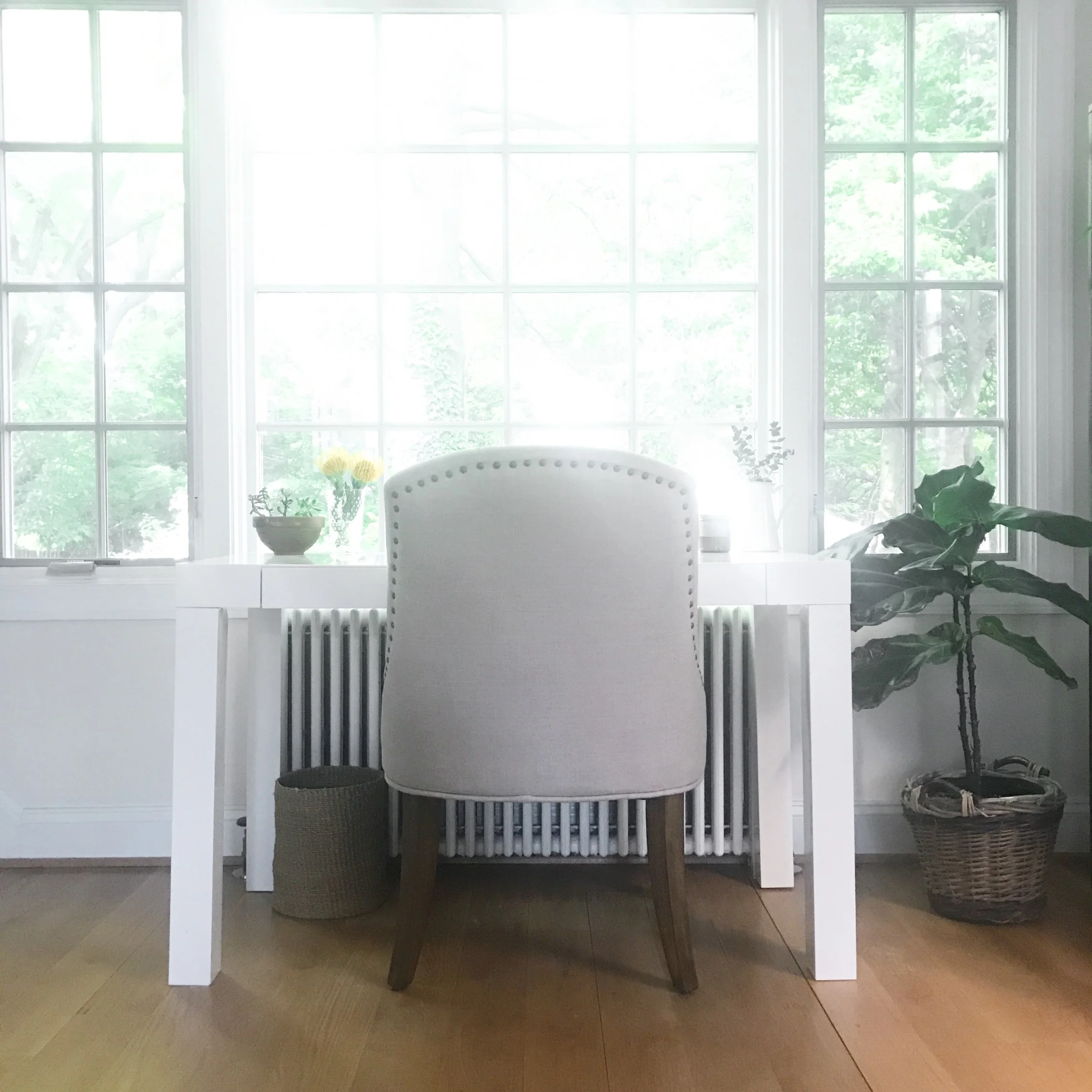 A Look Into My Career as a Holistic Health Coach