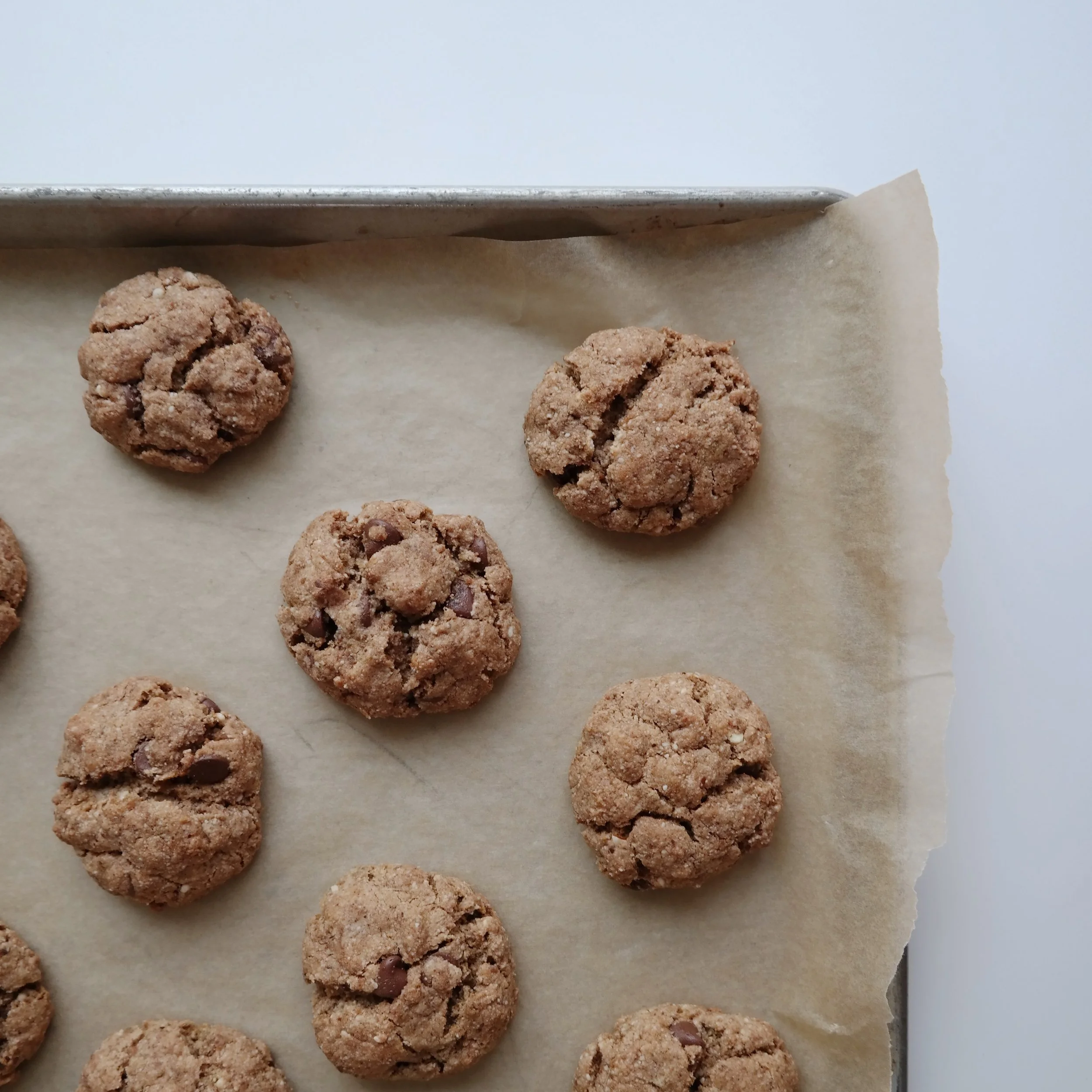 Grain Free Almond Butter Chocolate Chip Cookies 