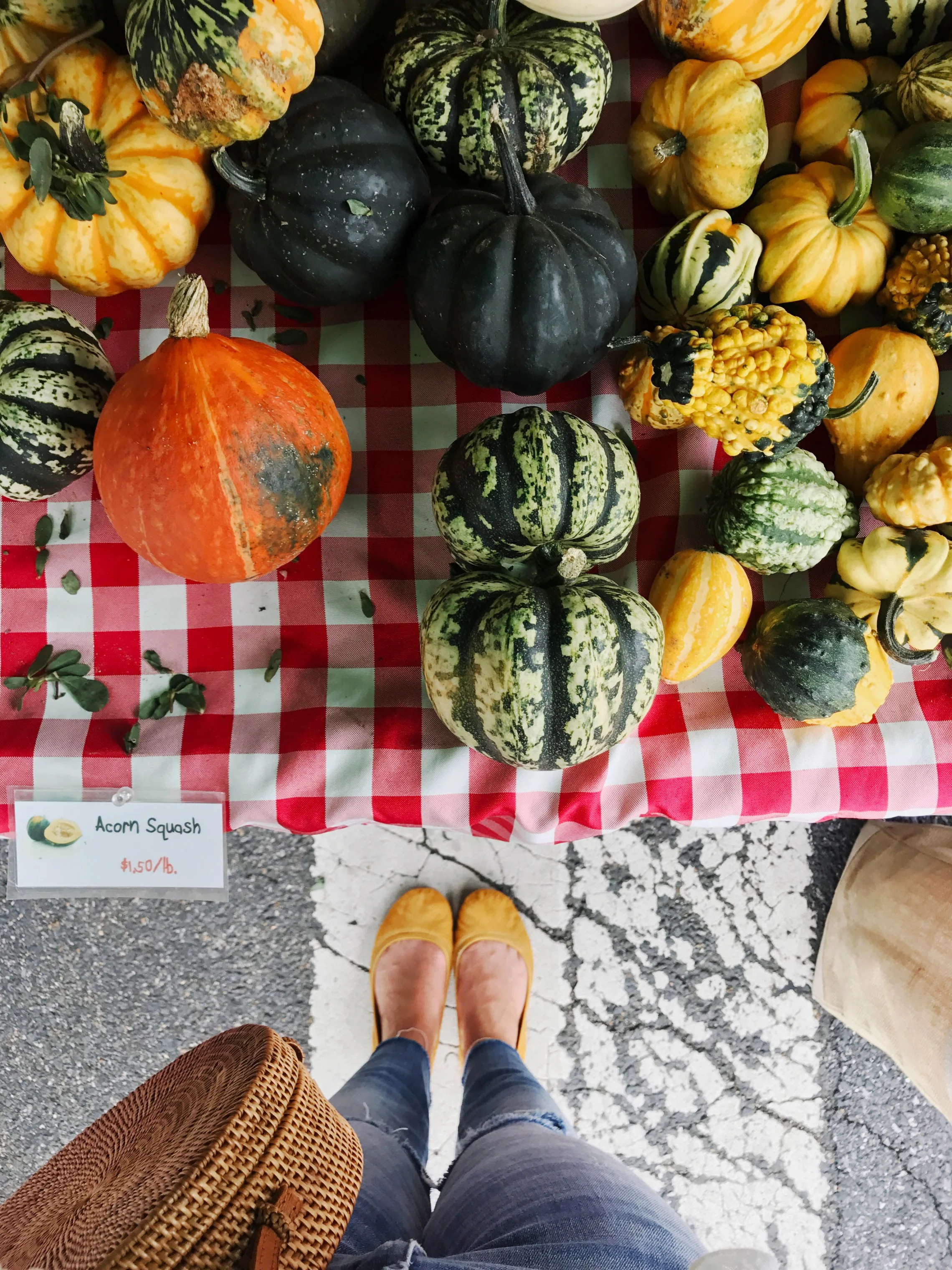 2017 Fall Intentions + Bucket List 