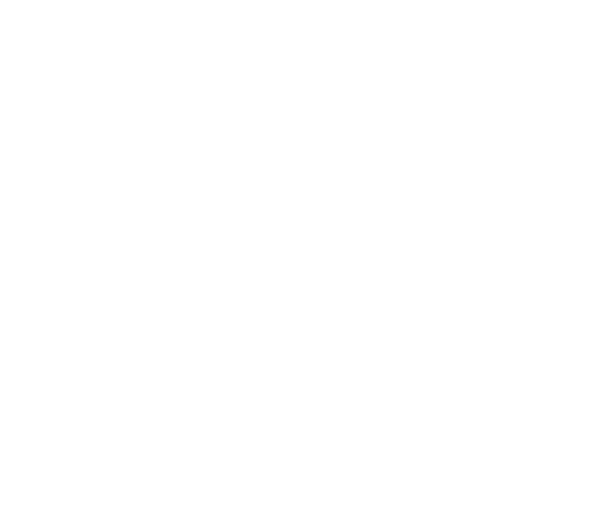Lot 49