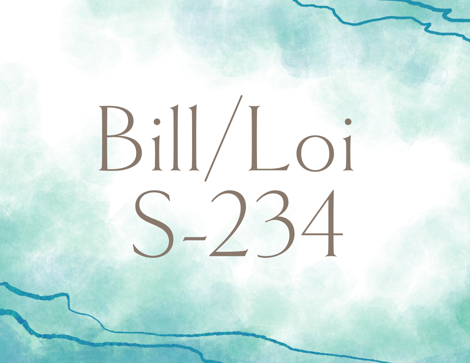 Seeing the Unseen: Advancing Bill S-234