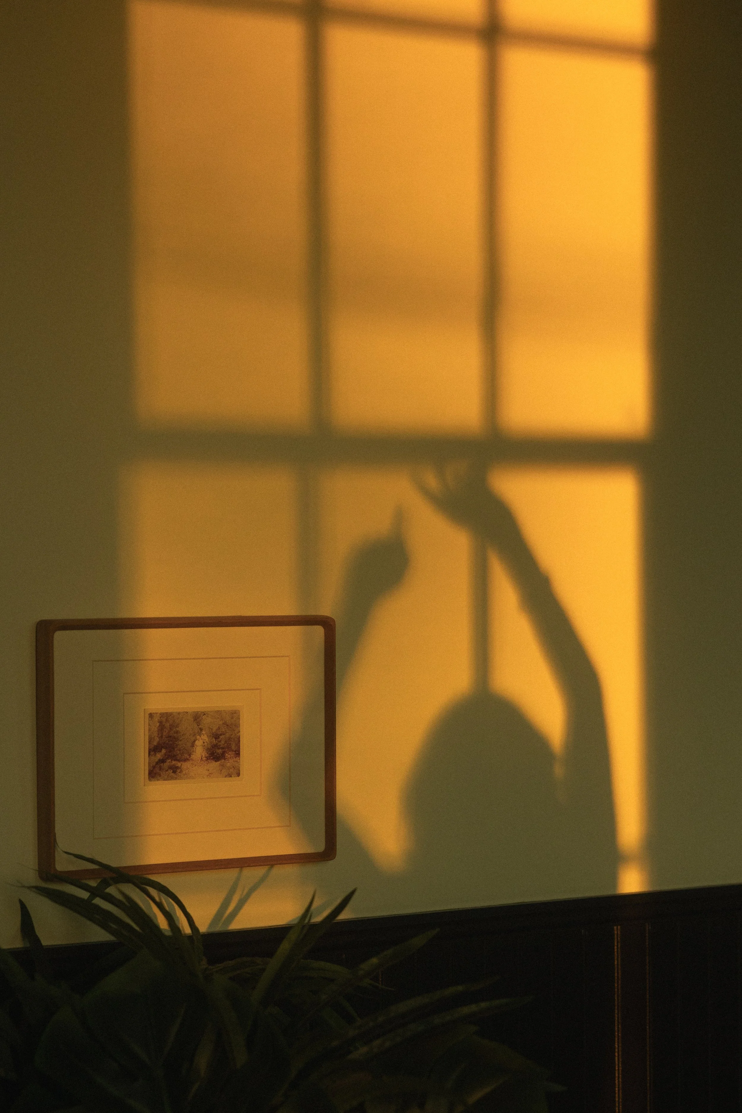 Shadow of a person's hand on a window with sunlight, framed picture hanging on the wall, and houseplant in the foreground.