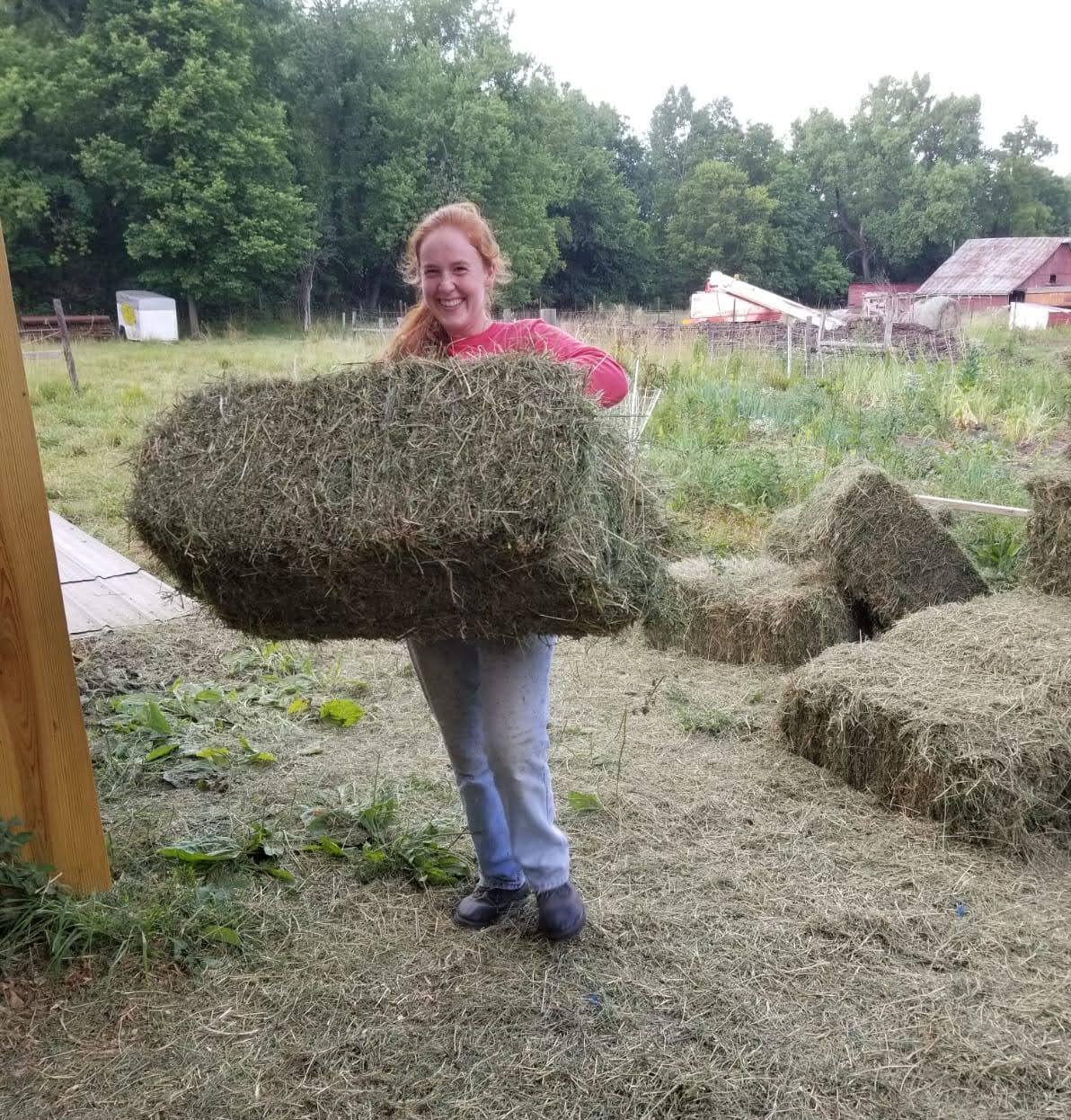 Karla Stoltzfus Detweiler - Margo hauling hay.jpg