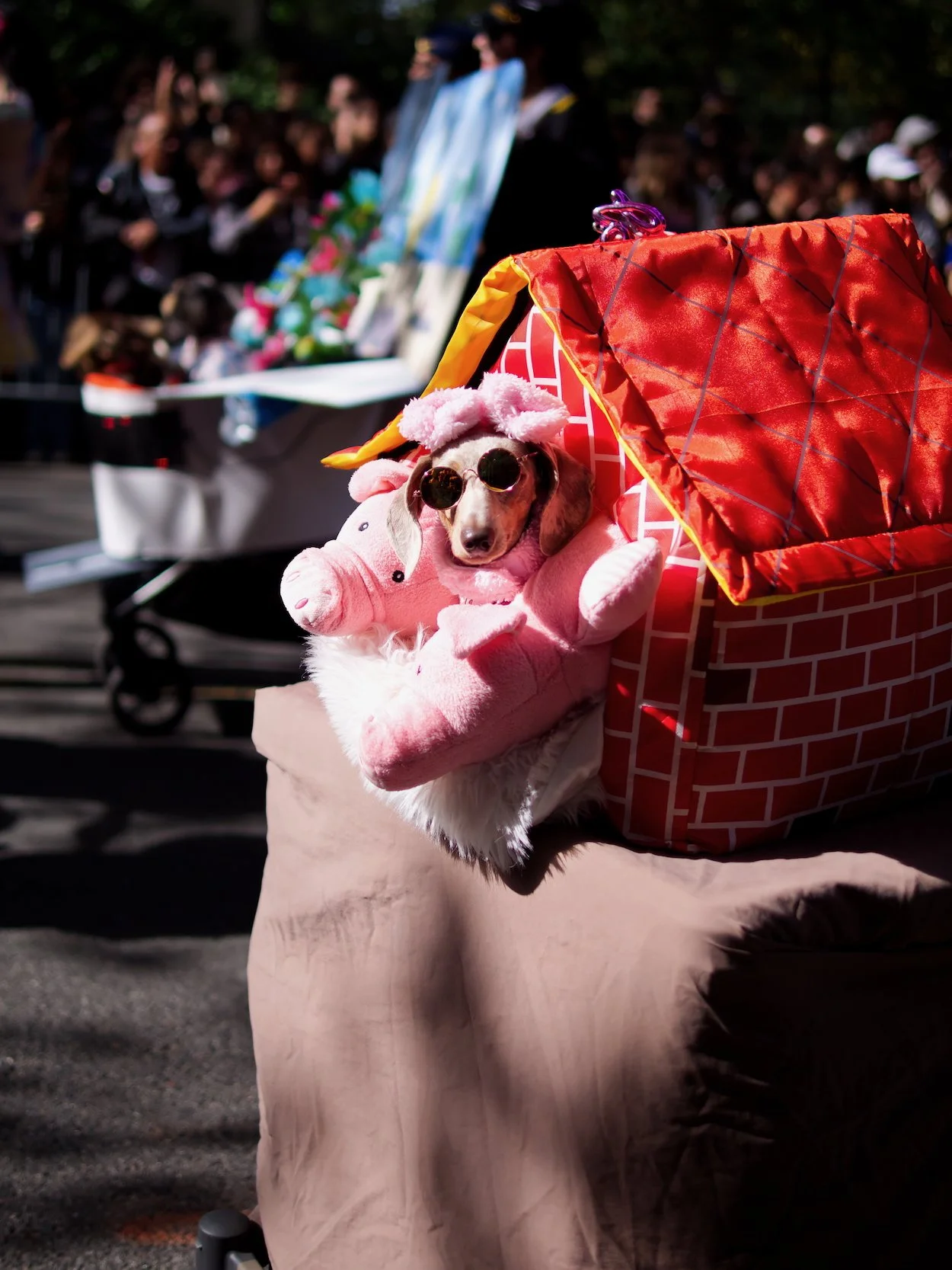 101925 DogShow30.jpeg