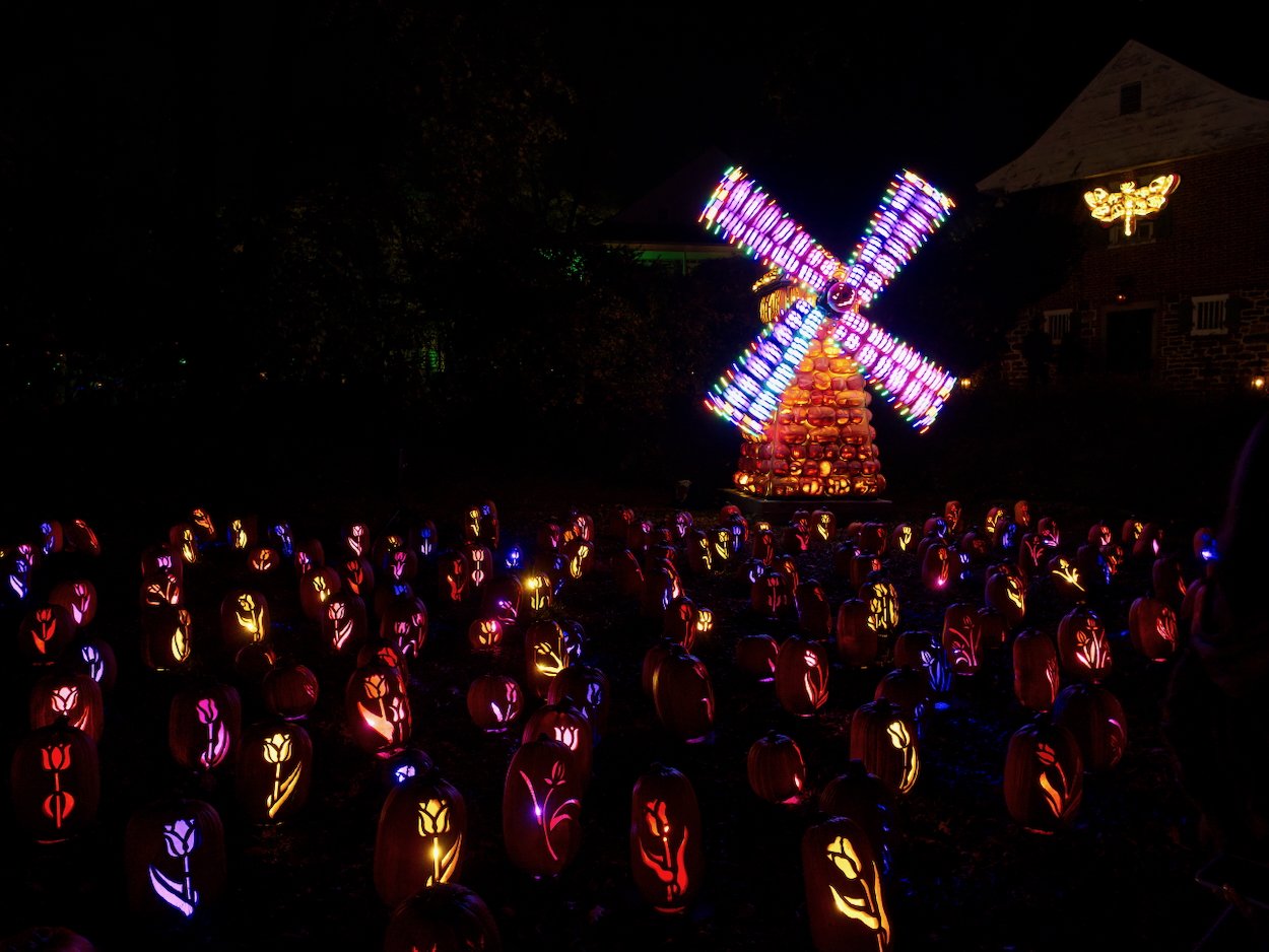 102822 PumpkinBlaze4.jpeg