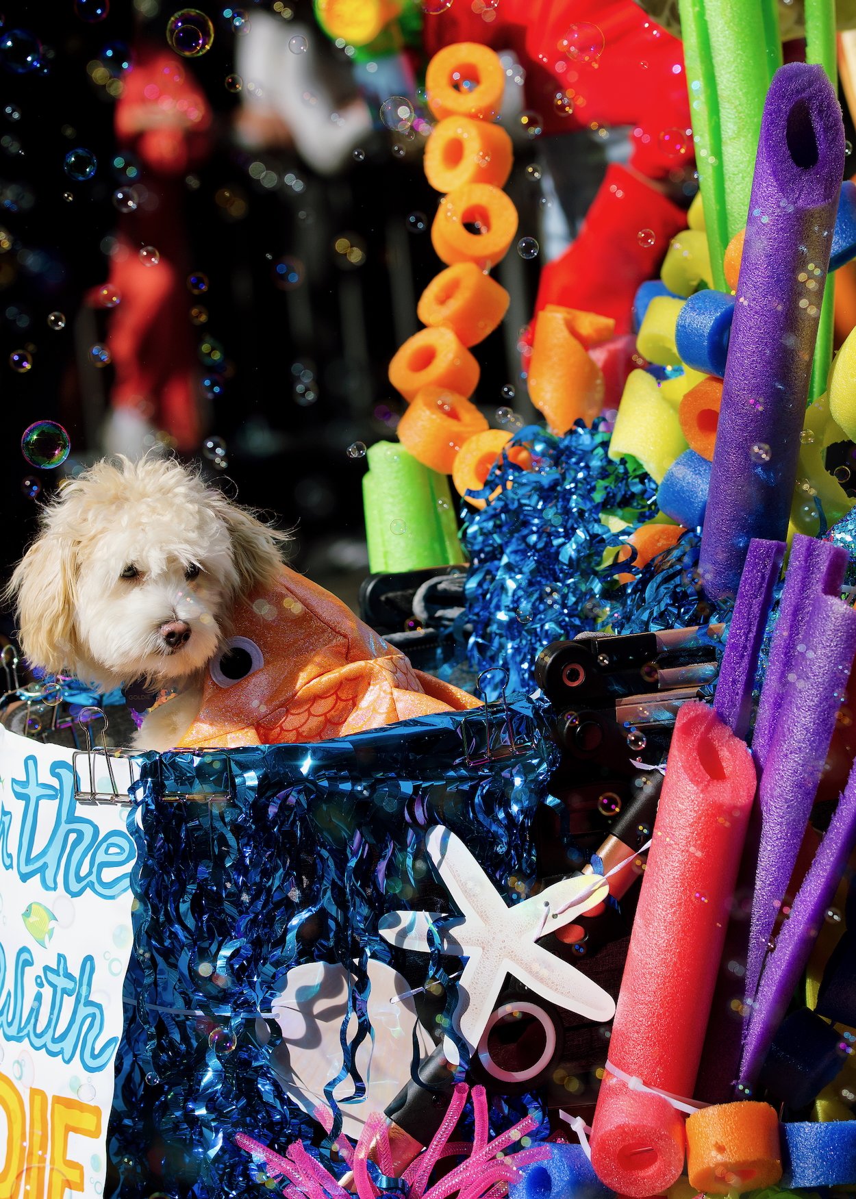 101925 DogShow17.jpeg