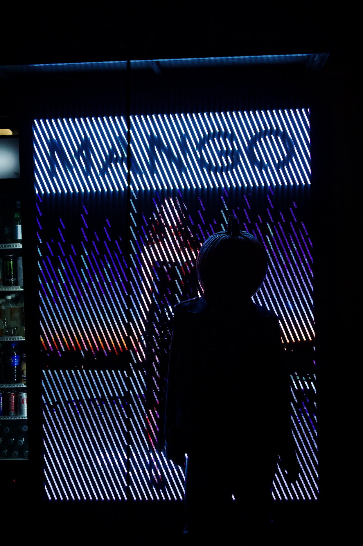 110125 Pumpkin36.jpeg