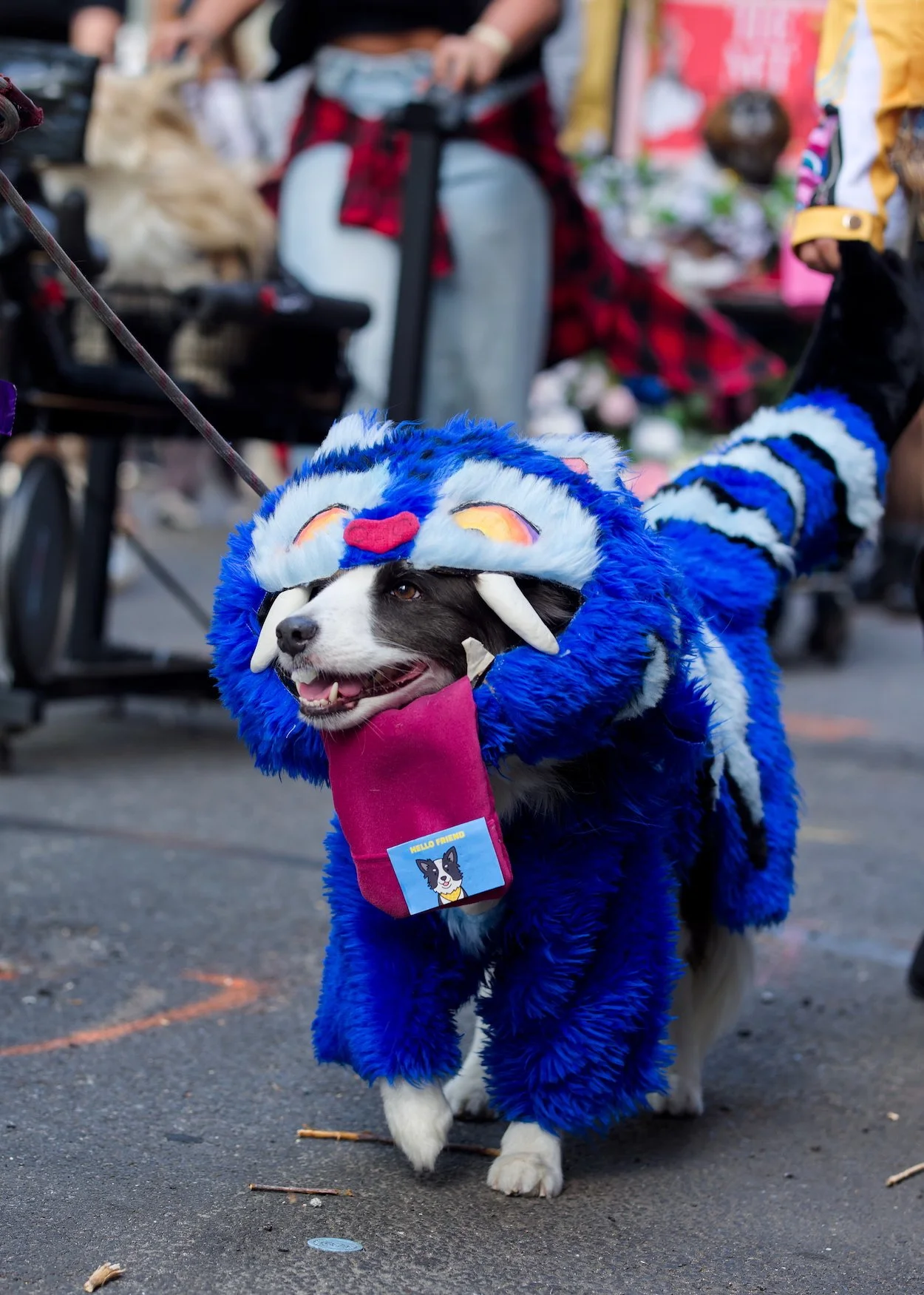 101925 DogShow18.jpeg