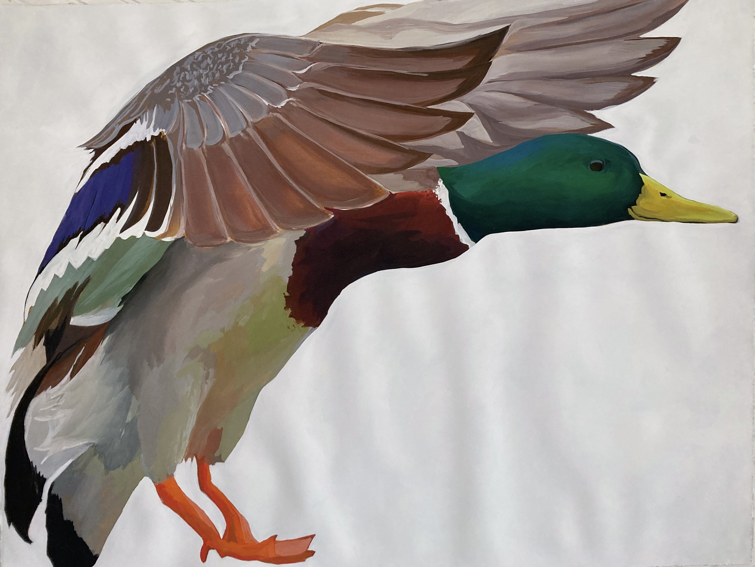 Weight of Wings, 2024, gouache, acrylic and flashe, 48 x 36 in, *private collection