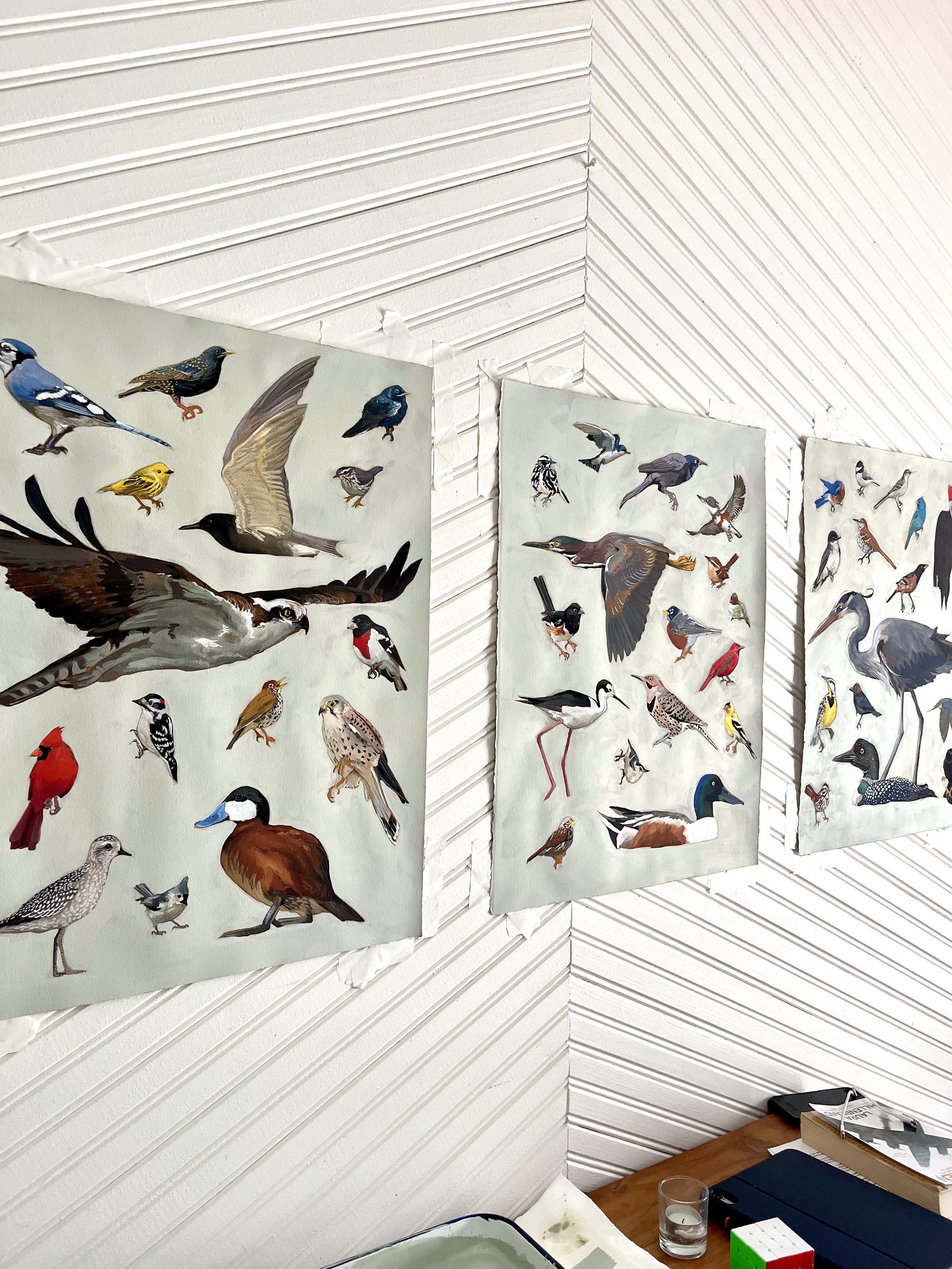 “Backyard Birds of Shelby Farms” series I-III, 24 x 18” gouache on paper