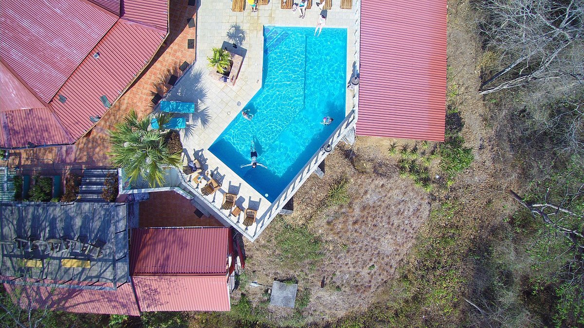 aerial-shot-of-our-pool.jpg