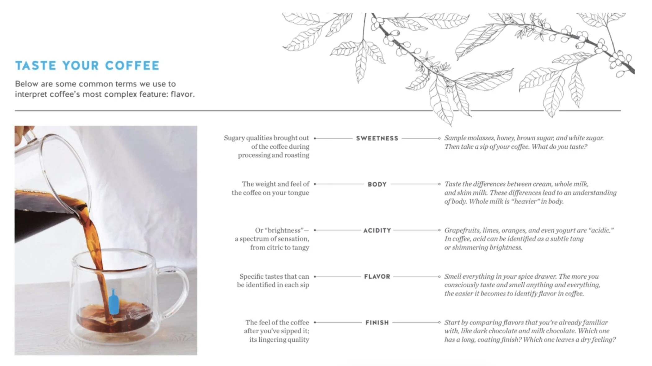 Coffee Tasting Guide, 2018