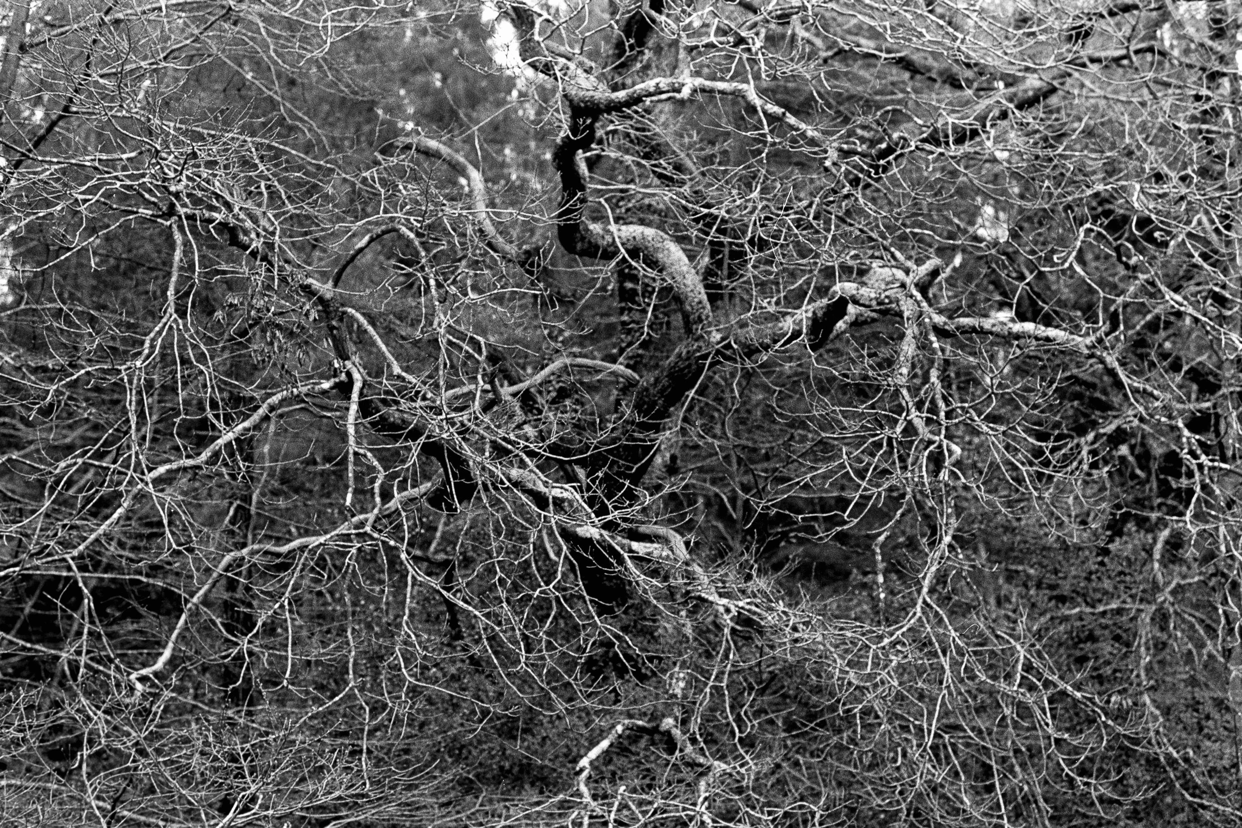 Life and Death