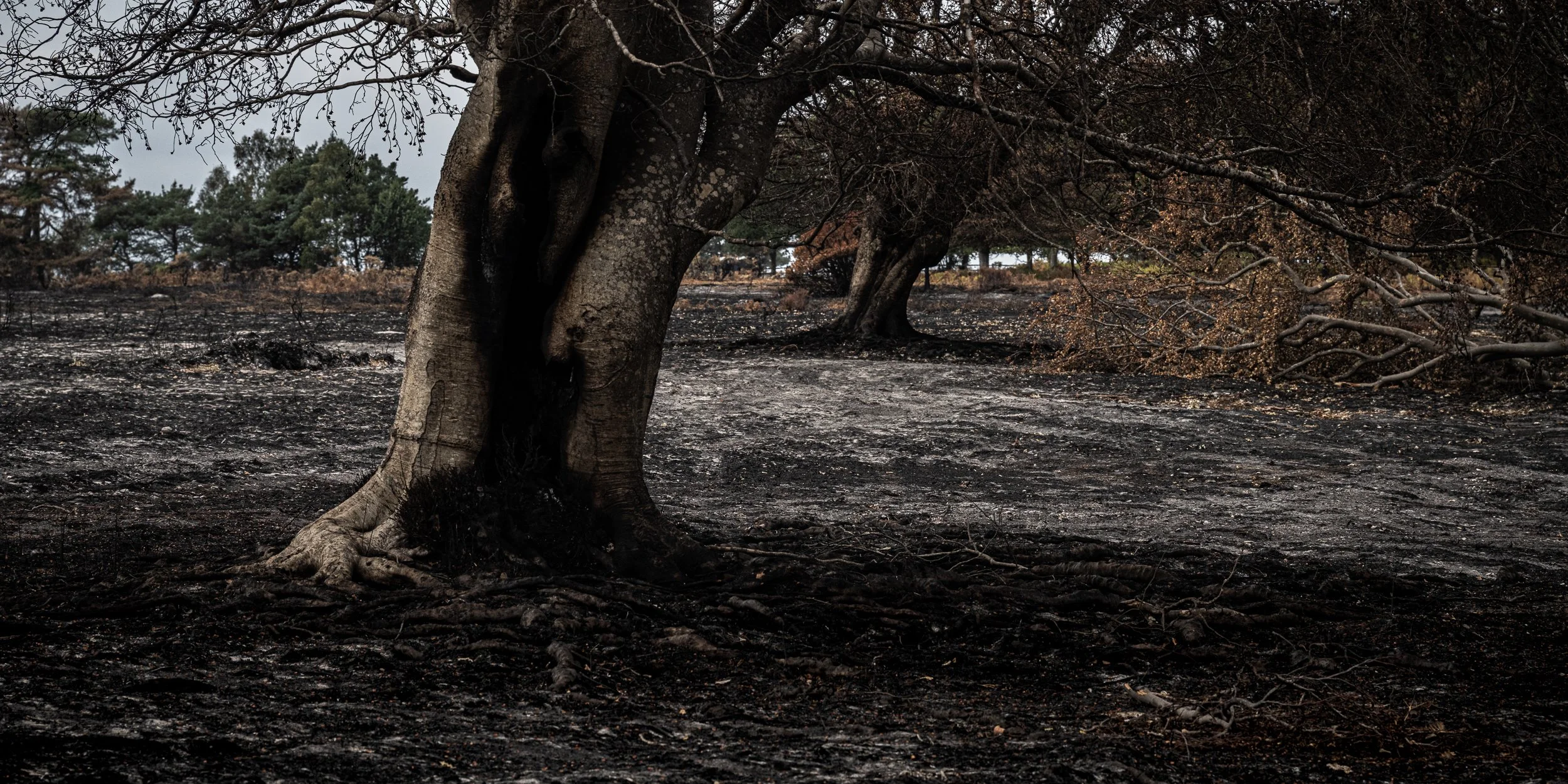 _DSC1261.jpg