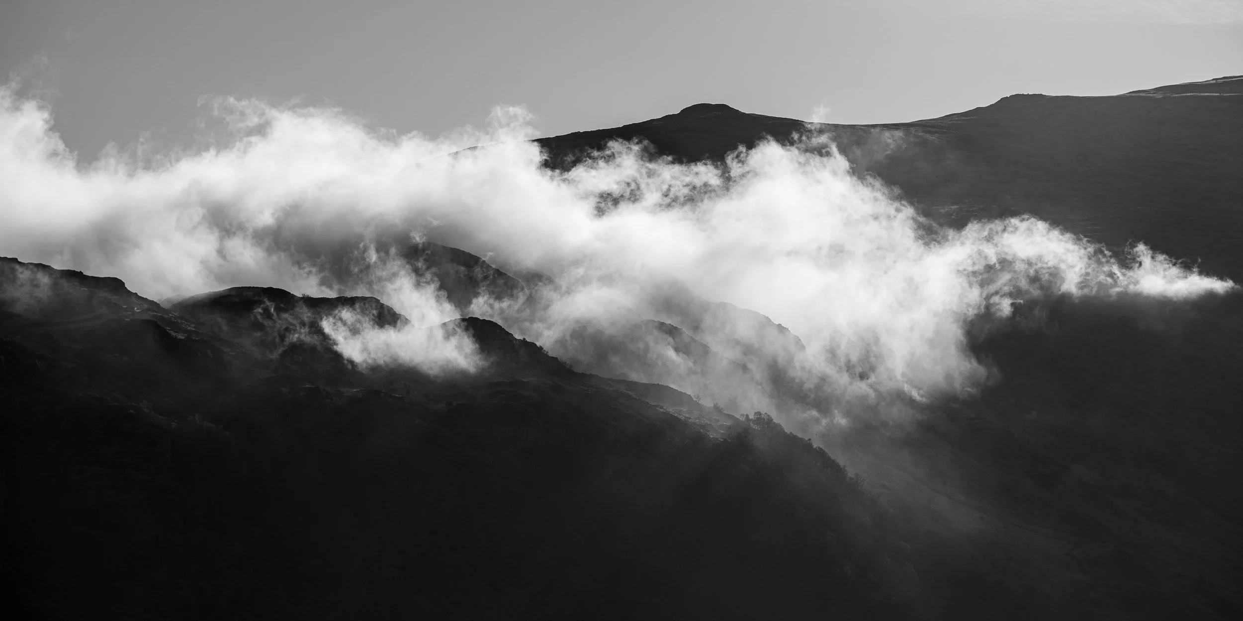 _DSC1033.jpg