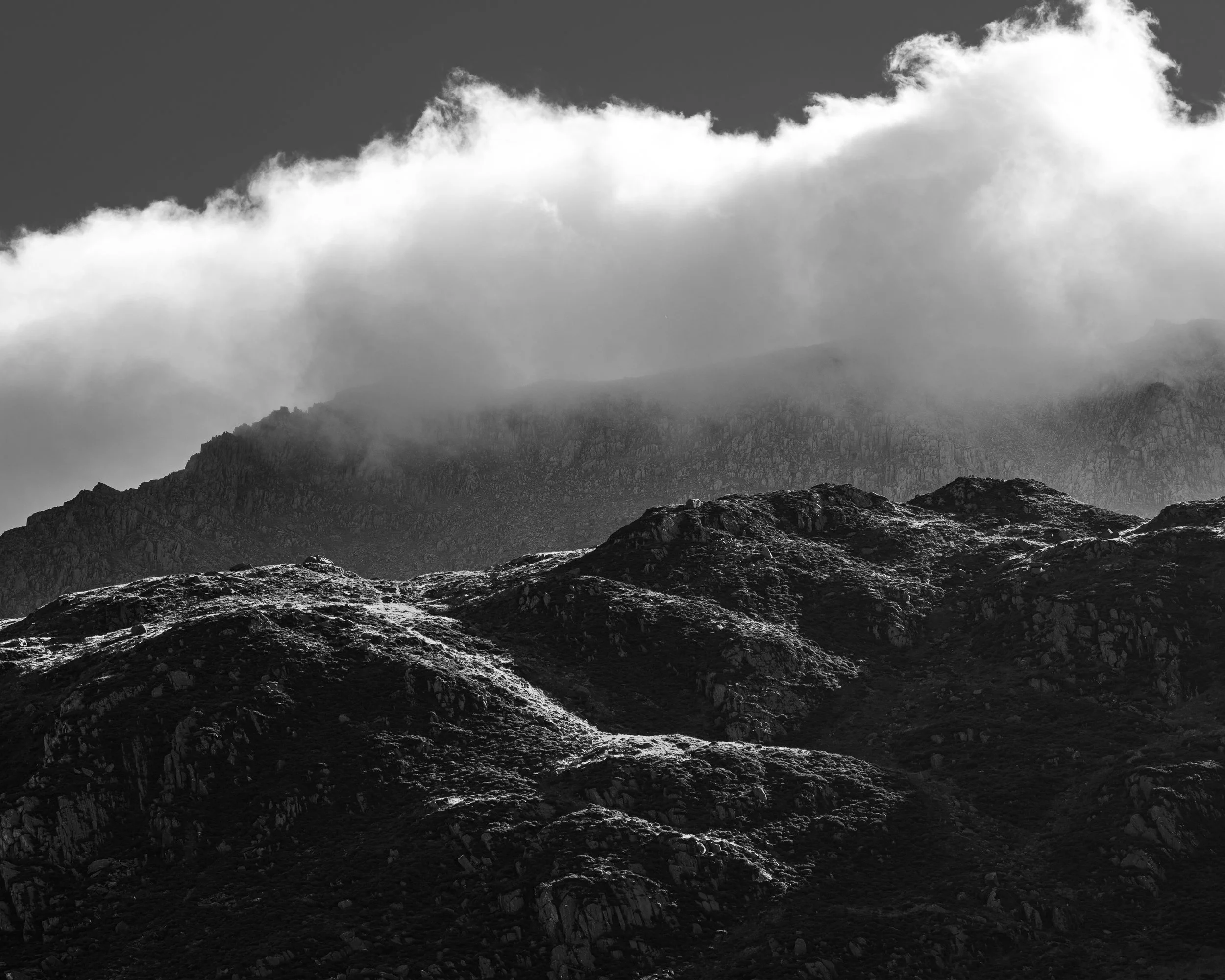 _DSC0113.jpg