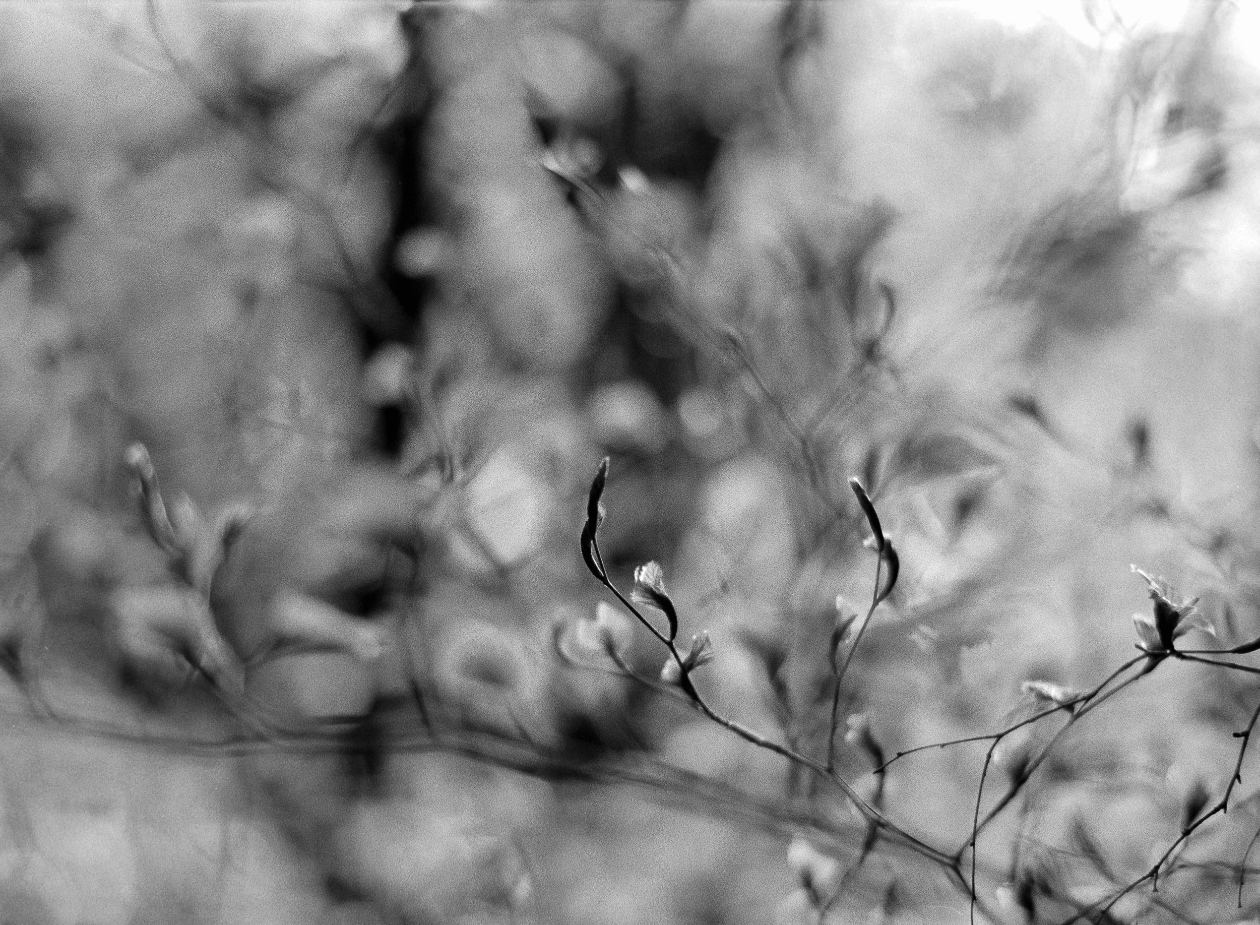 New Life