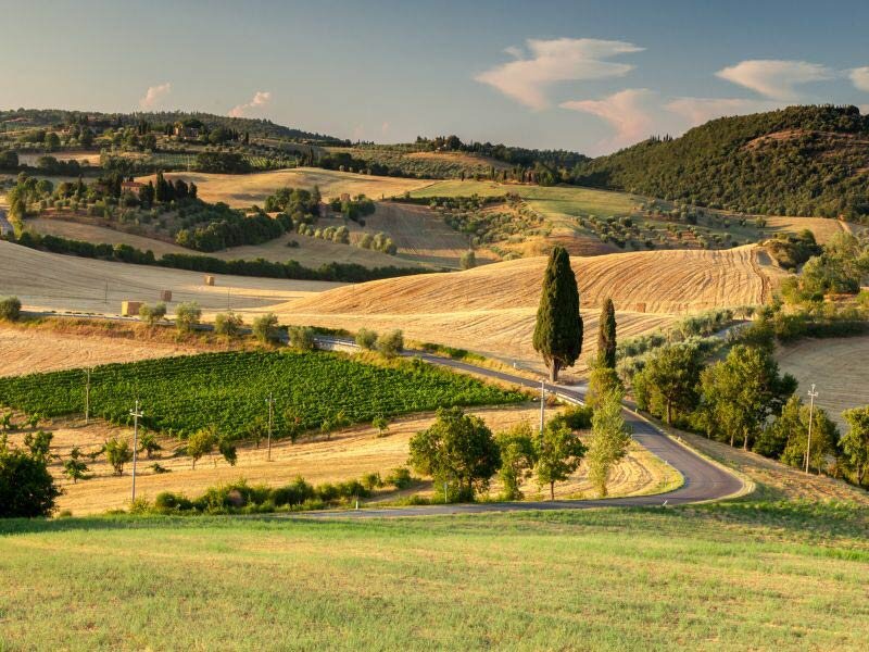 Val-d_Orcia-Tuscany panorama.jpg