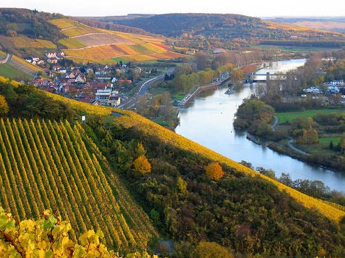 Franconian Wine Region.jpg