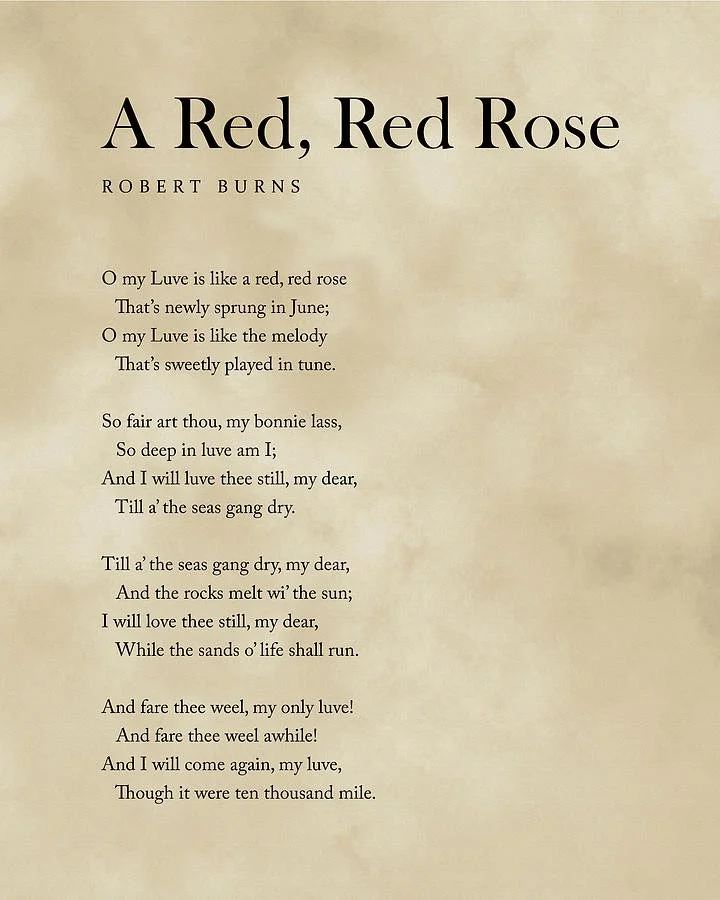 Rober Burns a-red-red-rose.jpg