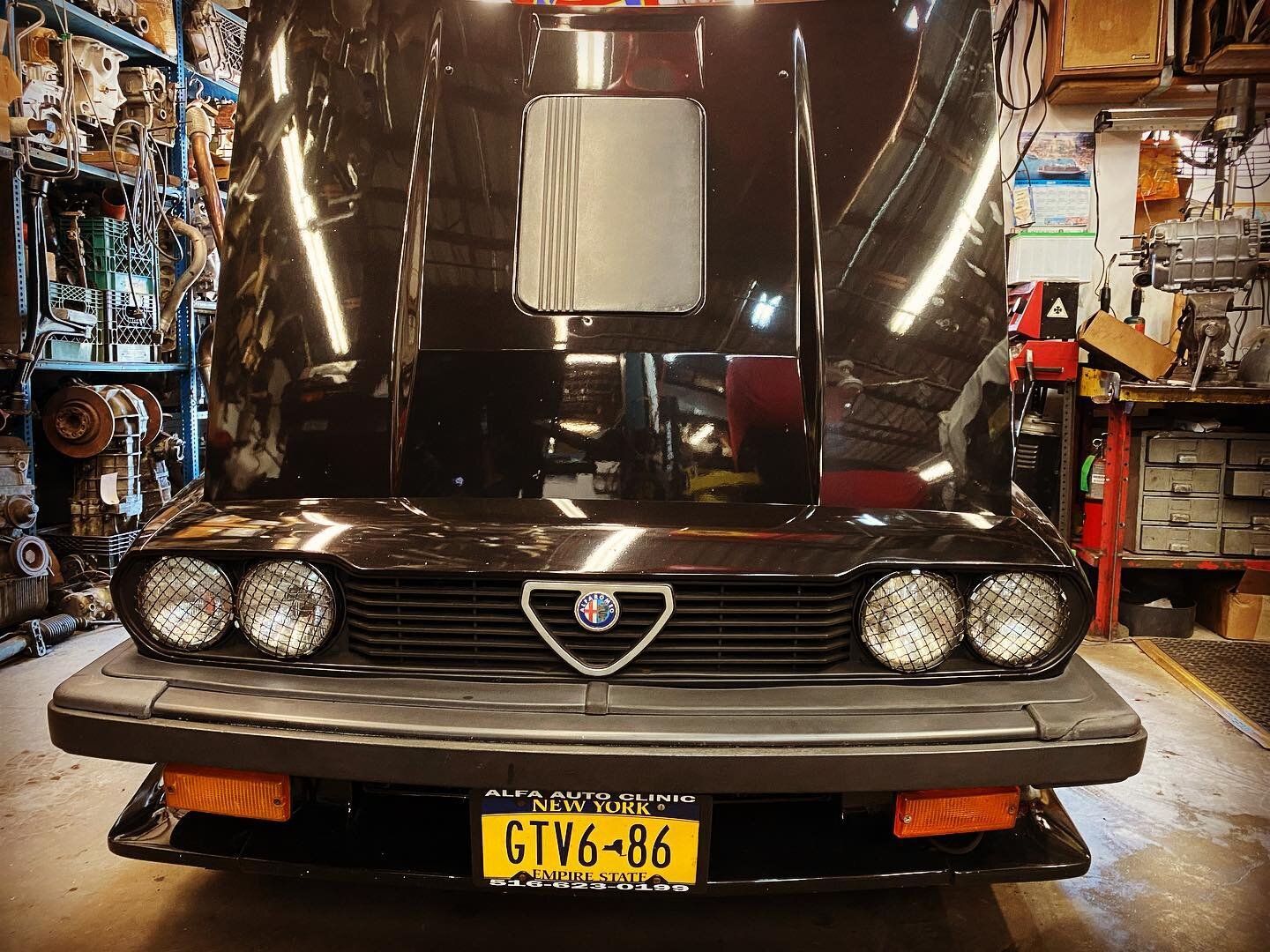 Mean grill on this GTV6. Did a bunch of service work on this car and now it drives better than ever. Remember to set your camber proper when doing your wheel alignments! Makes a world of a difference.

#alfa 
#aflaromeo 
#italiancar 
#alfalovers 
#af