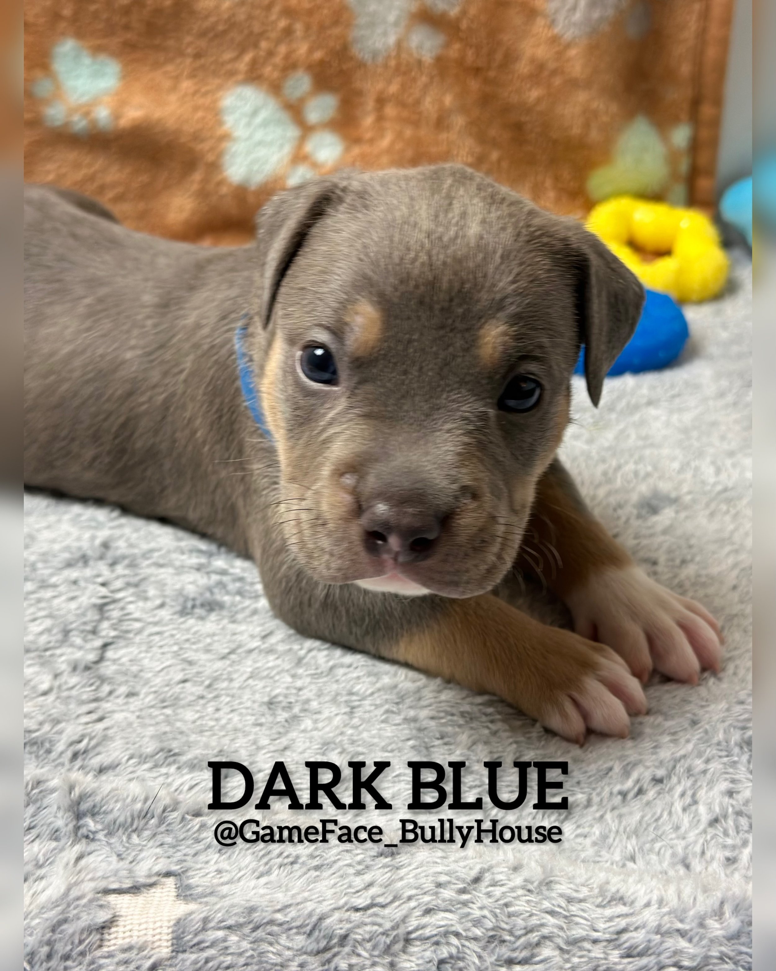 photo-output (3).jpg