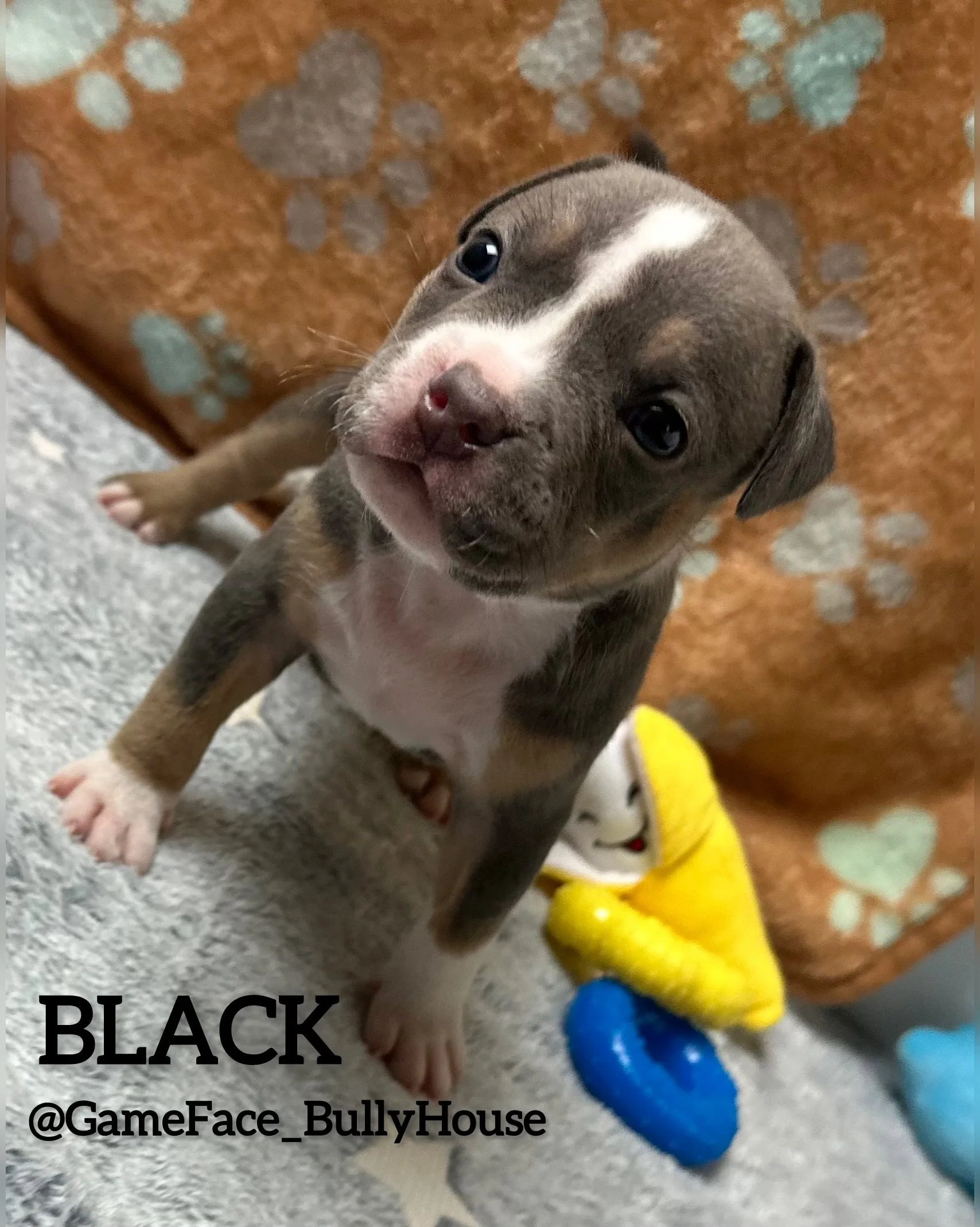 photo-output (7).jpg