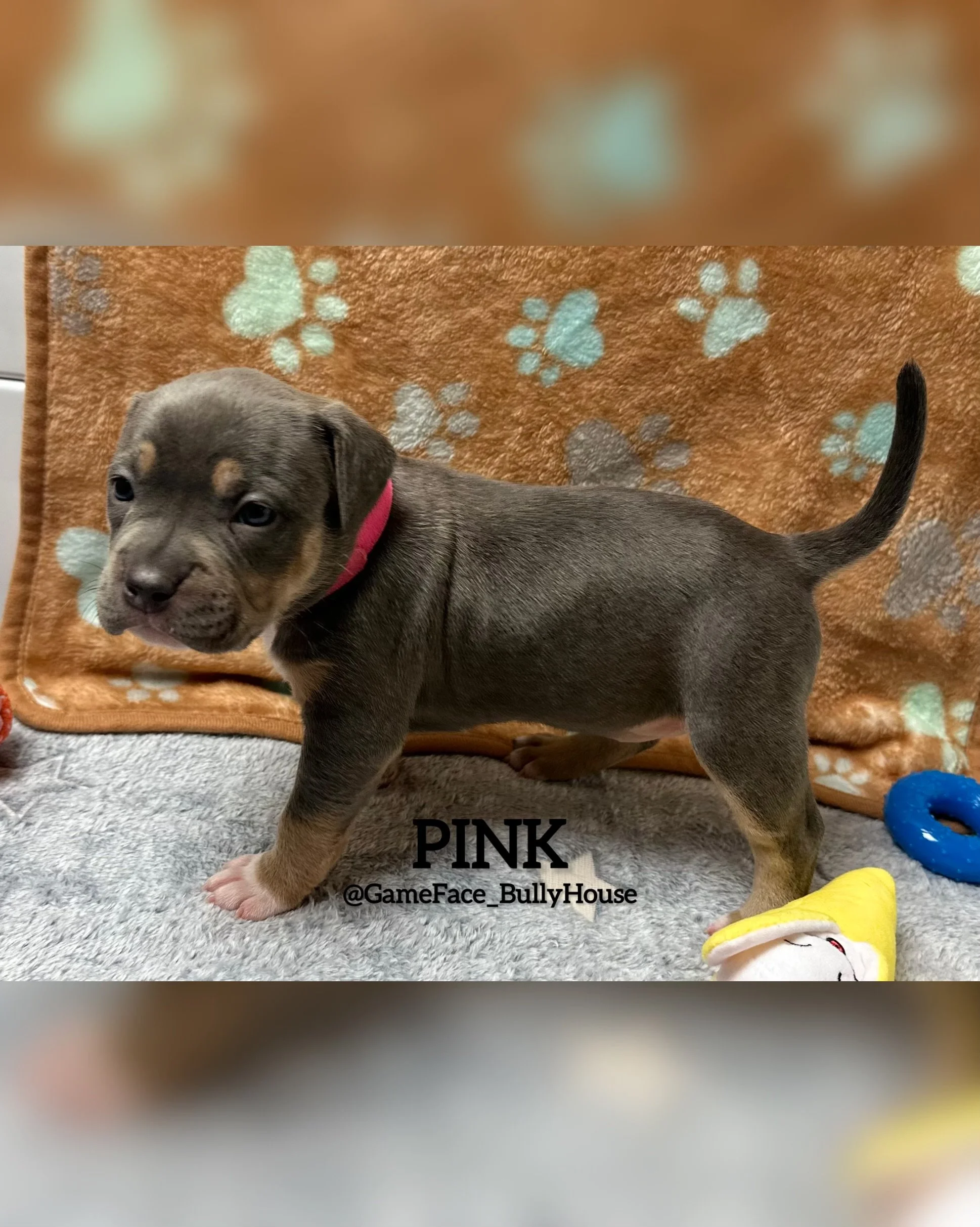 photo-output (2).jpg