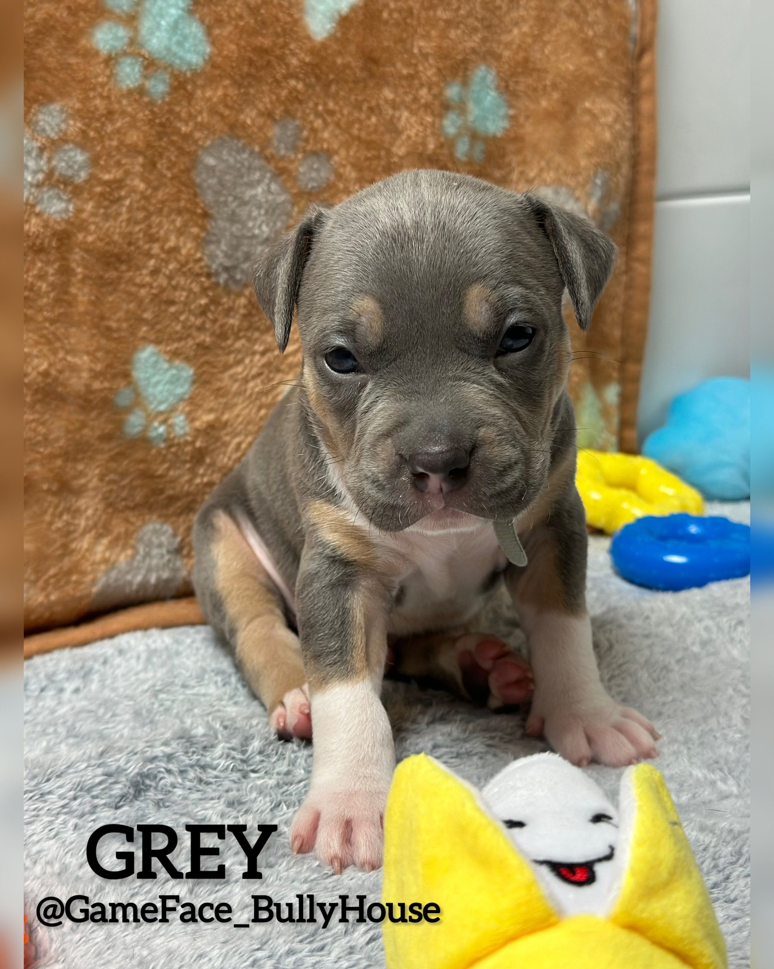 photo-output (9).jpg