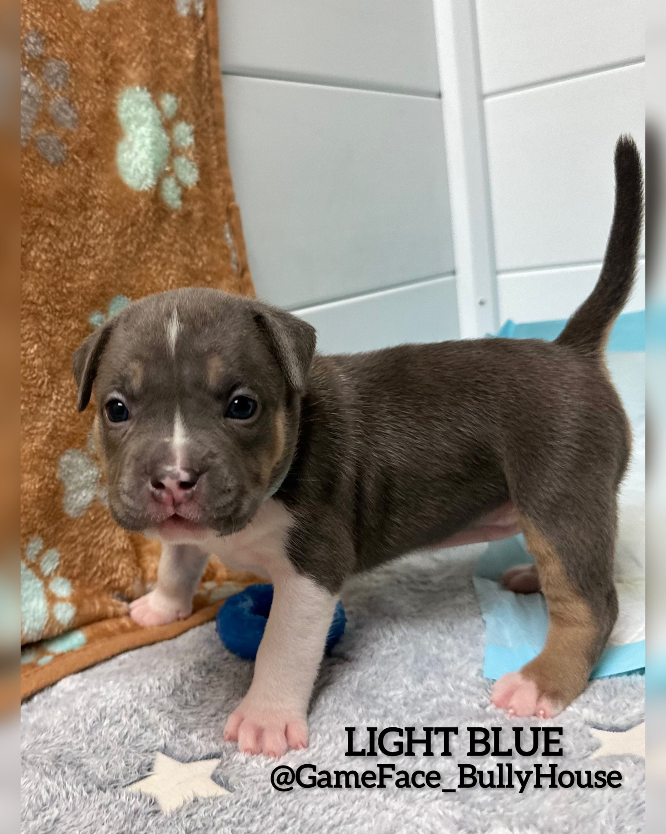 photo-output (8).jpg