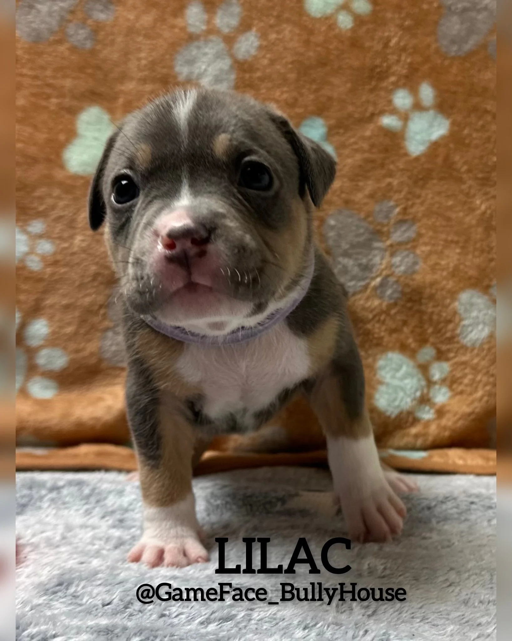 photo-output (5).jpg