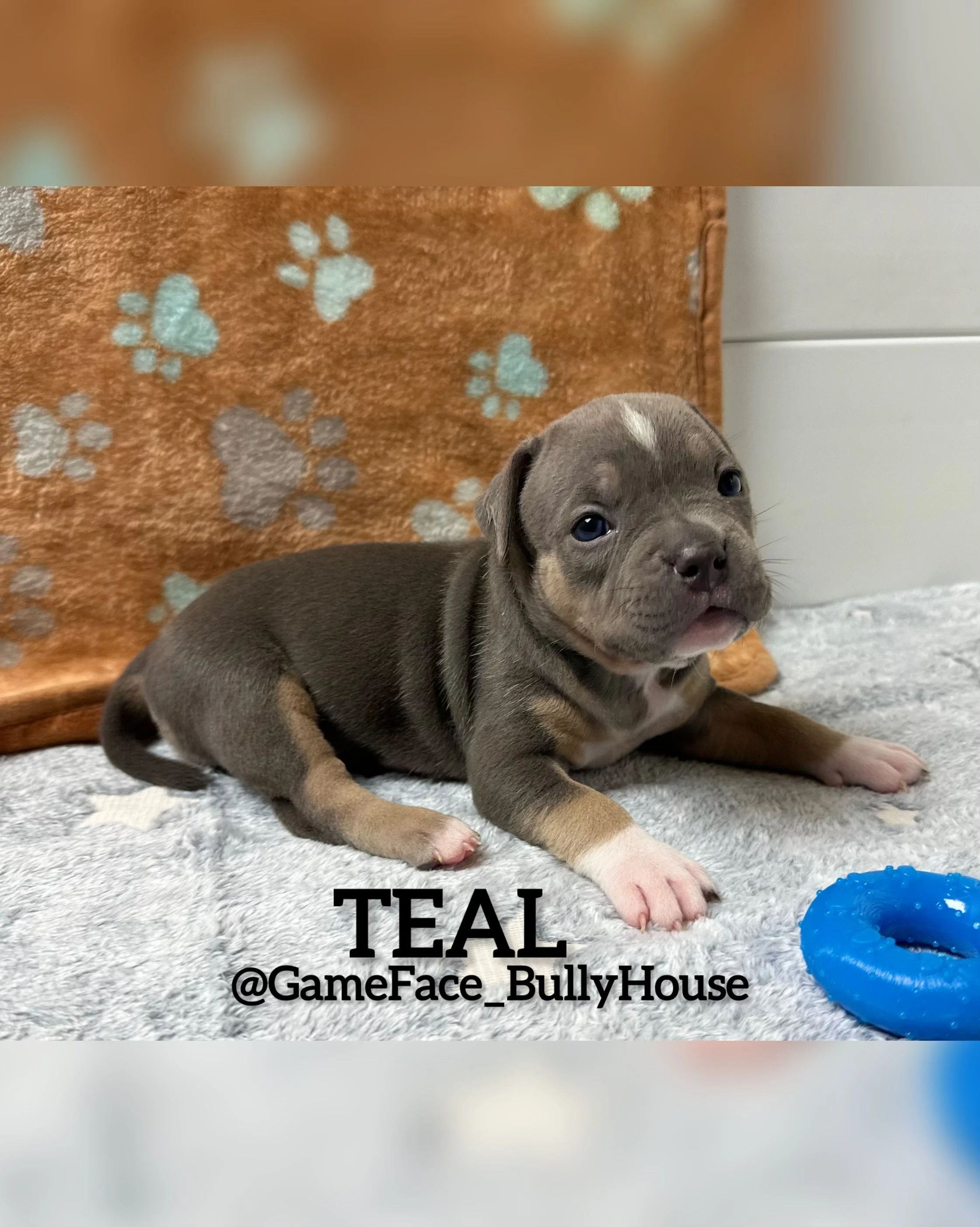 photo-output (6).jpg