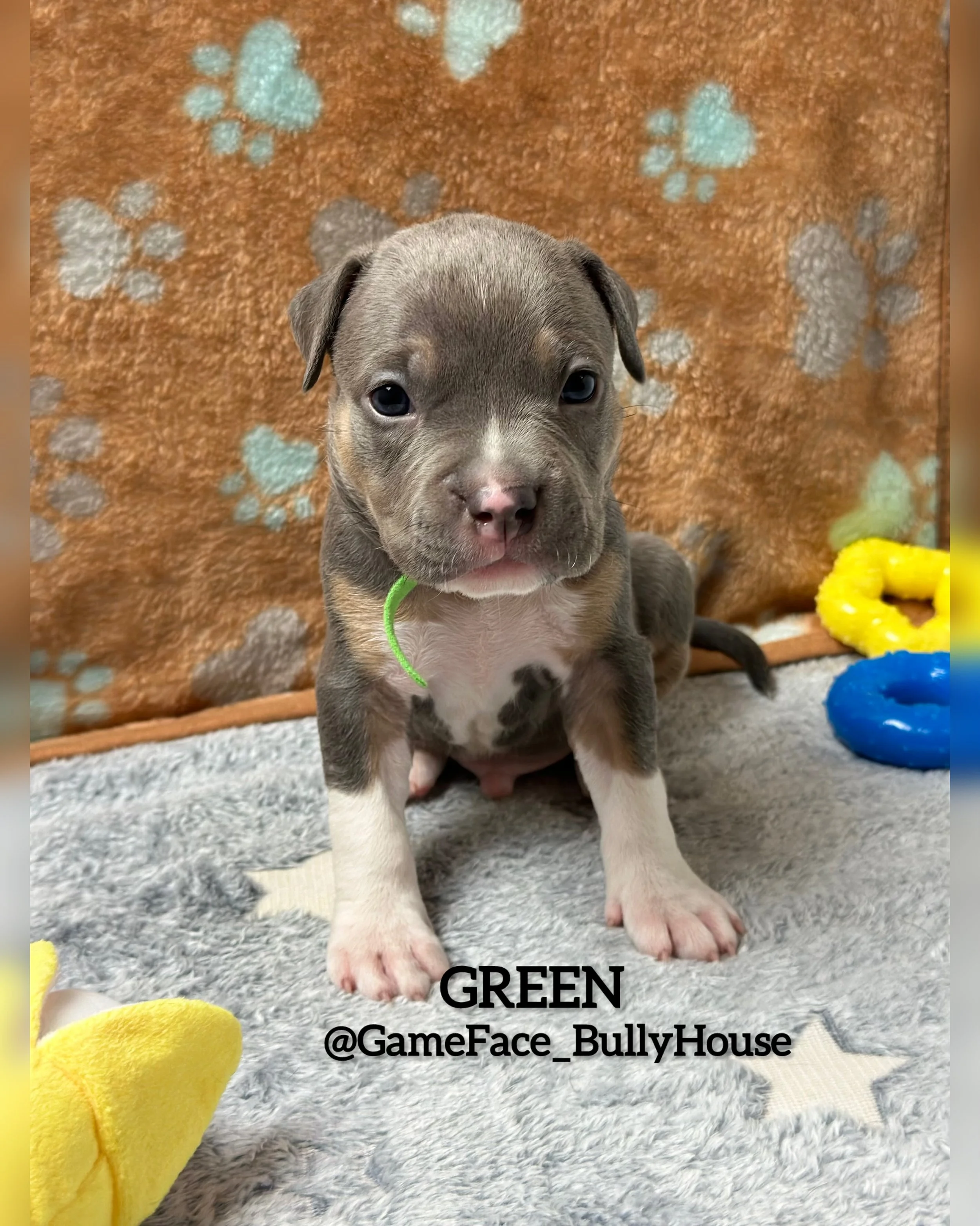 photo-output (1).jpg