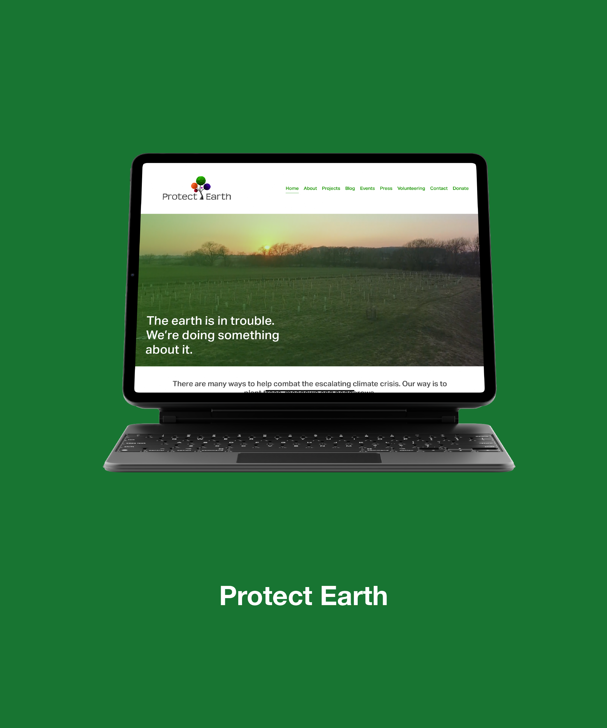 Protect Earth Web.png