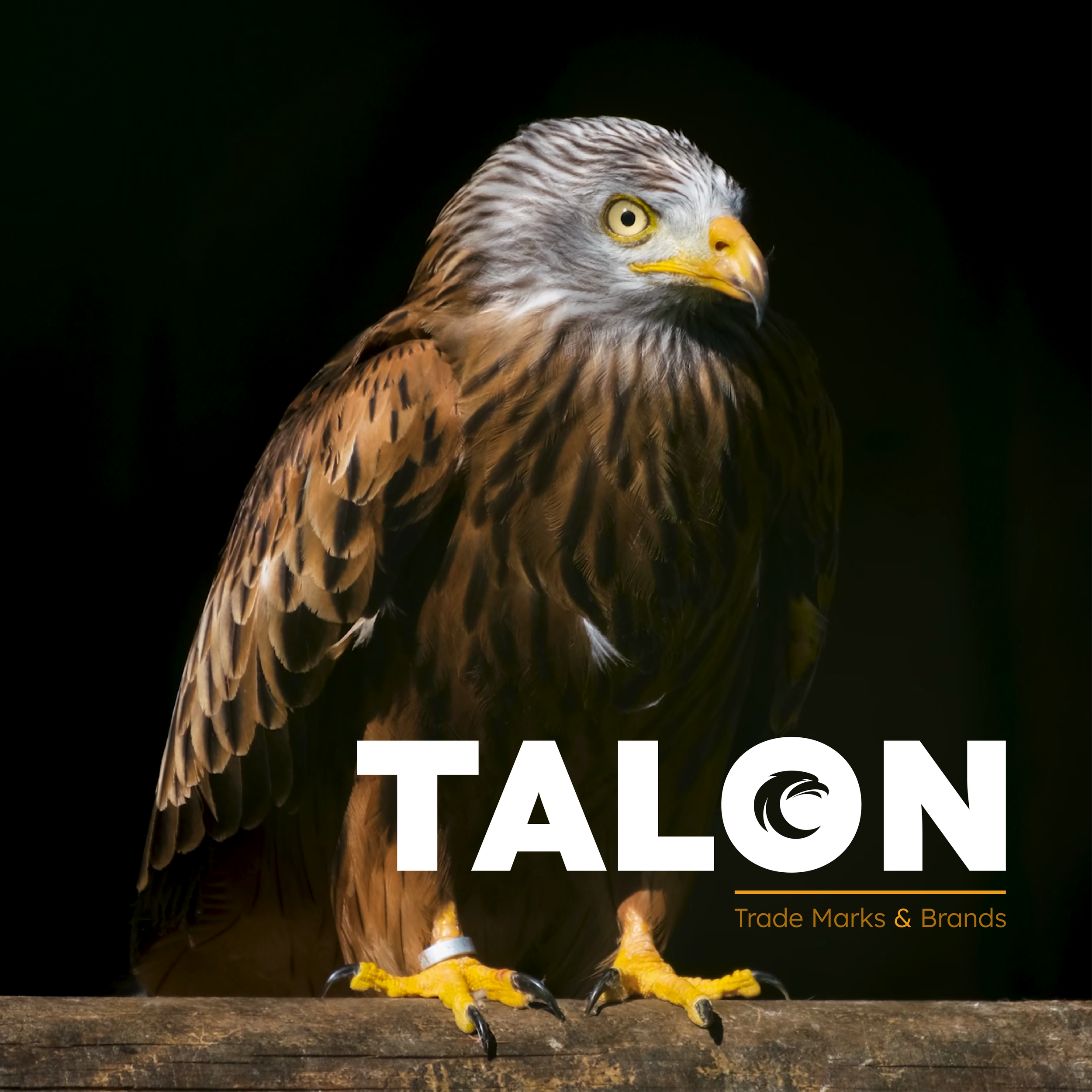 Talon Trademark and Brands