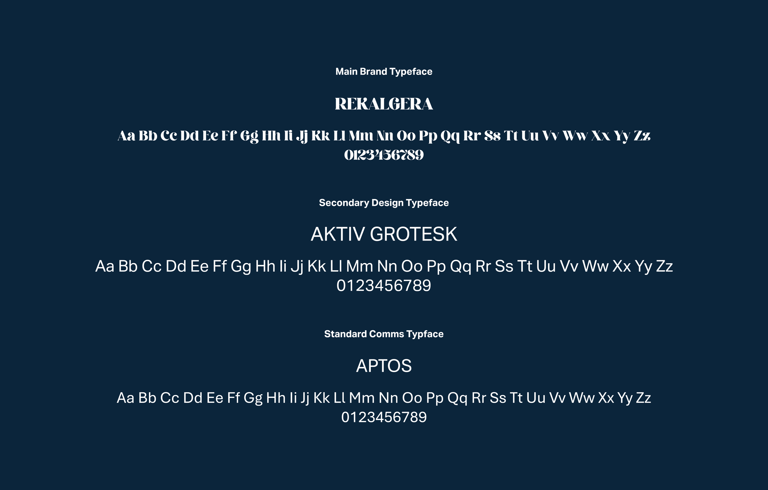 A large rectangular image of a dark blue box with the 3 different fonts used for this project