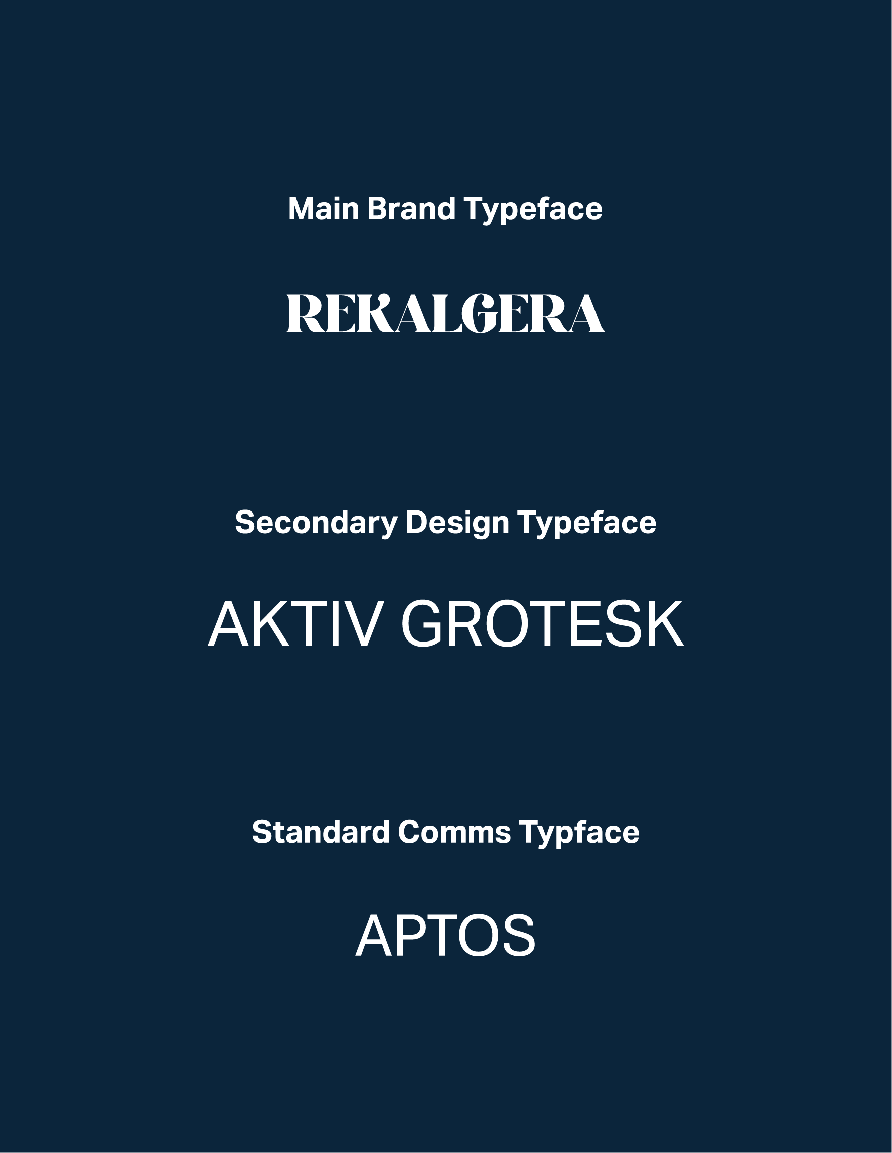 Tall image of a dark blue box with the 3 different fonts used for this project
