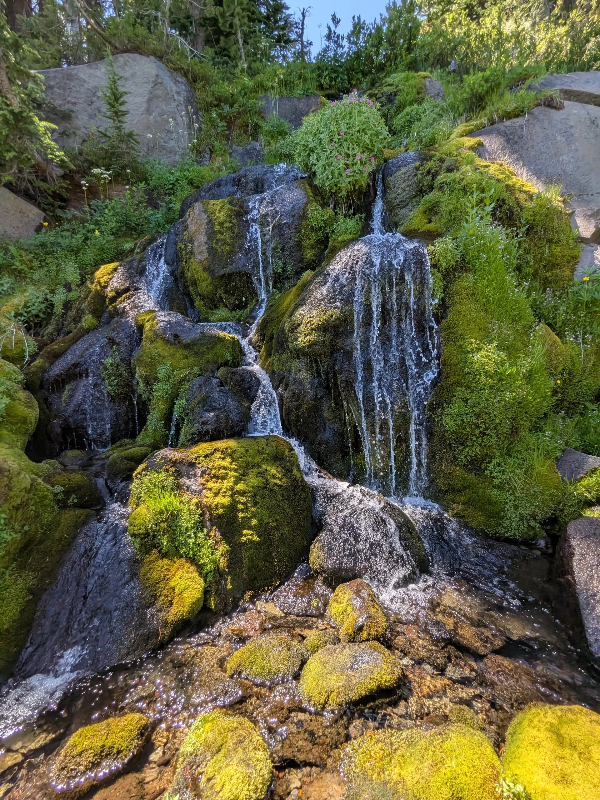 Staircase Falls on Mt Adams