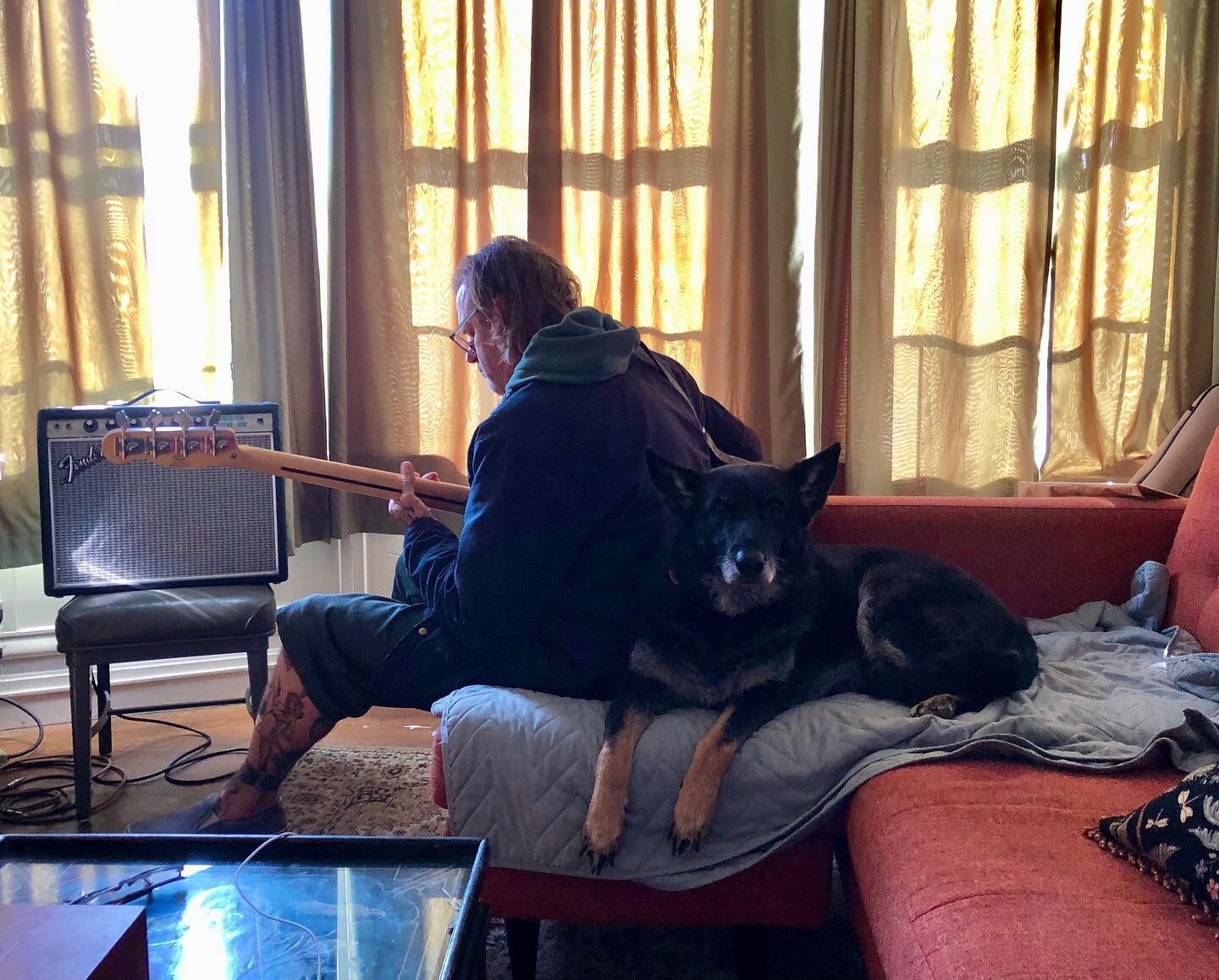Sunday morning light

Featuring Lady the dog and @awakenedlightreiki