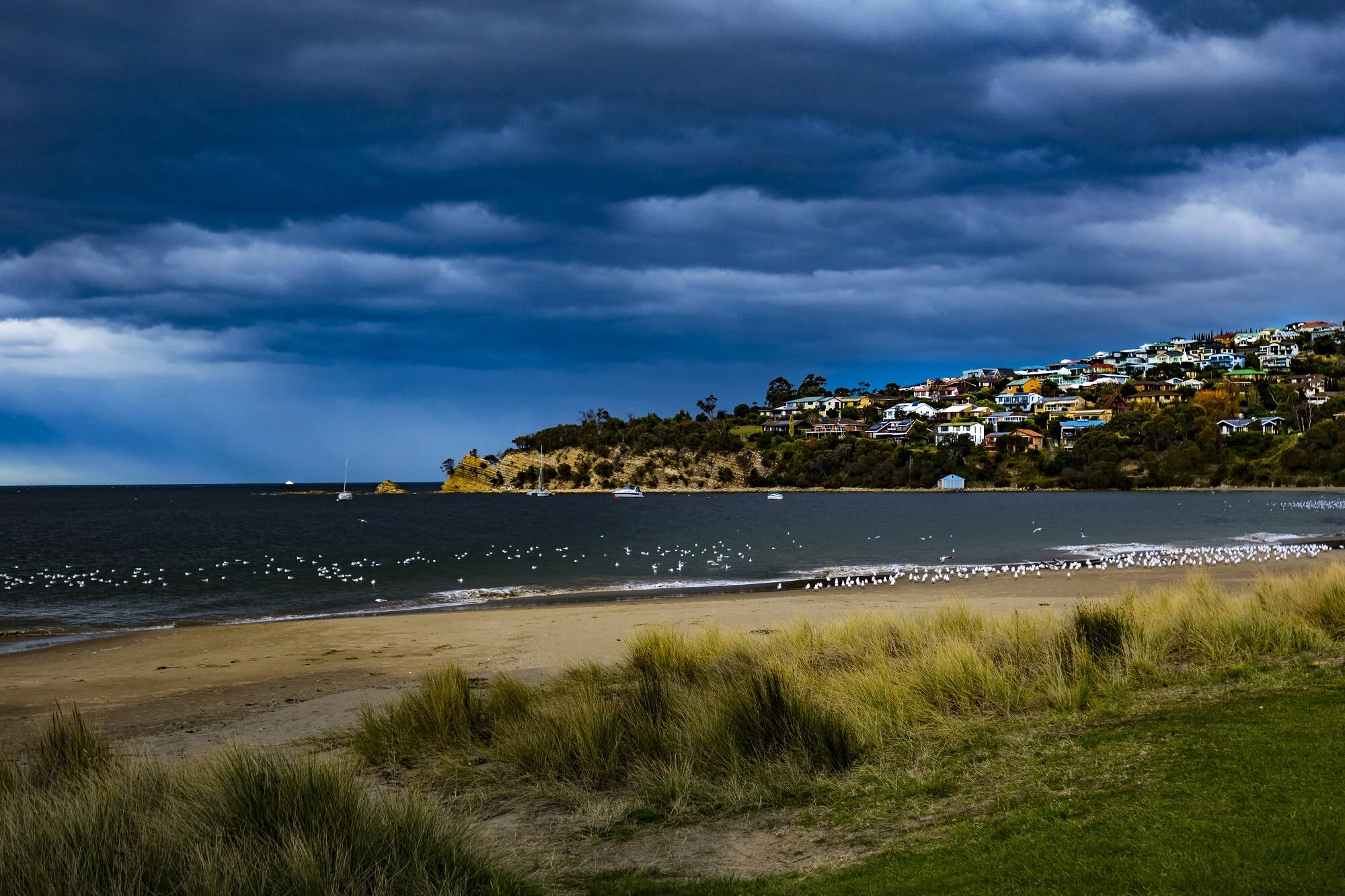 Flowpot from Home  (1 of 1) resized.jpg