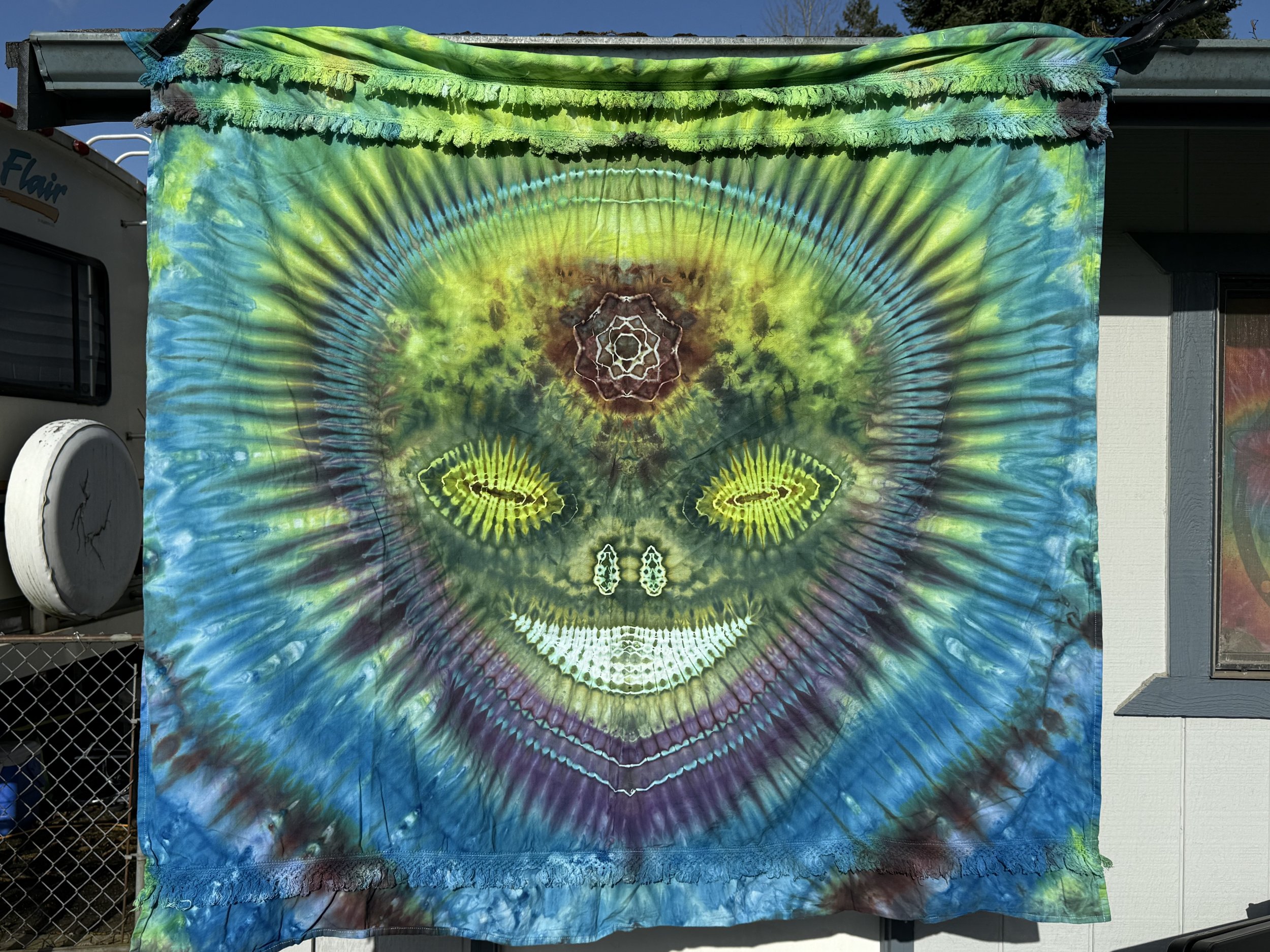 Alien Shower curtain