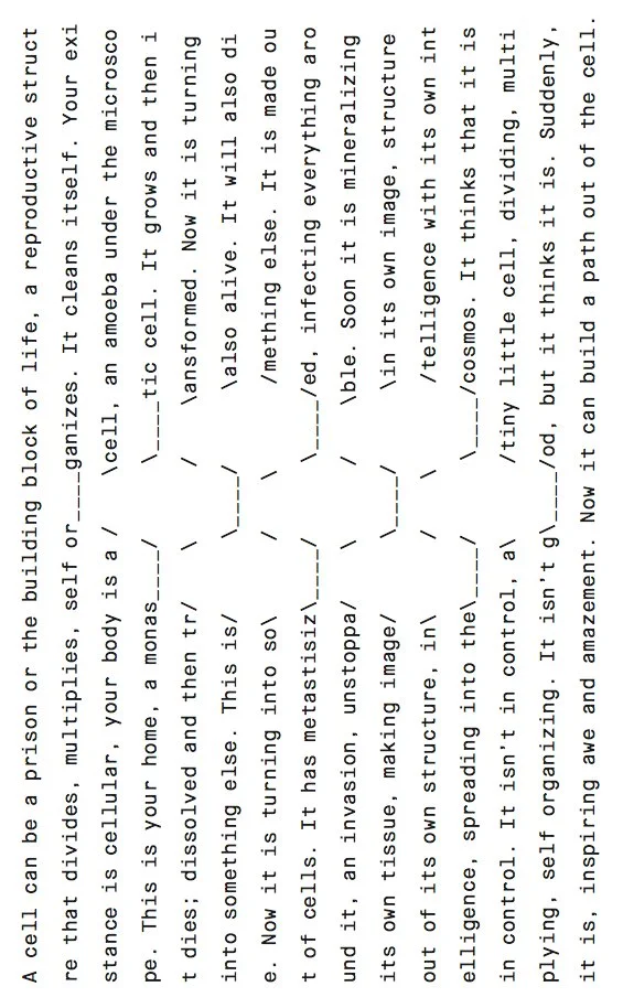 Jonathan Bruce Williams