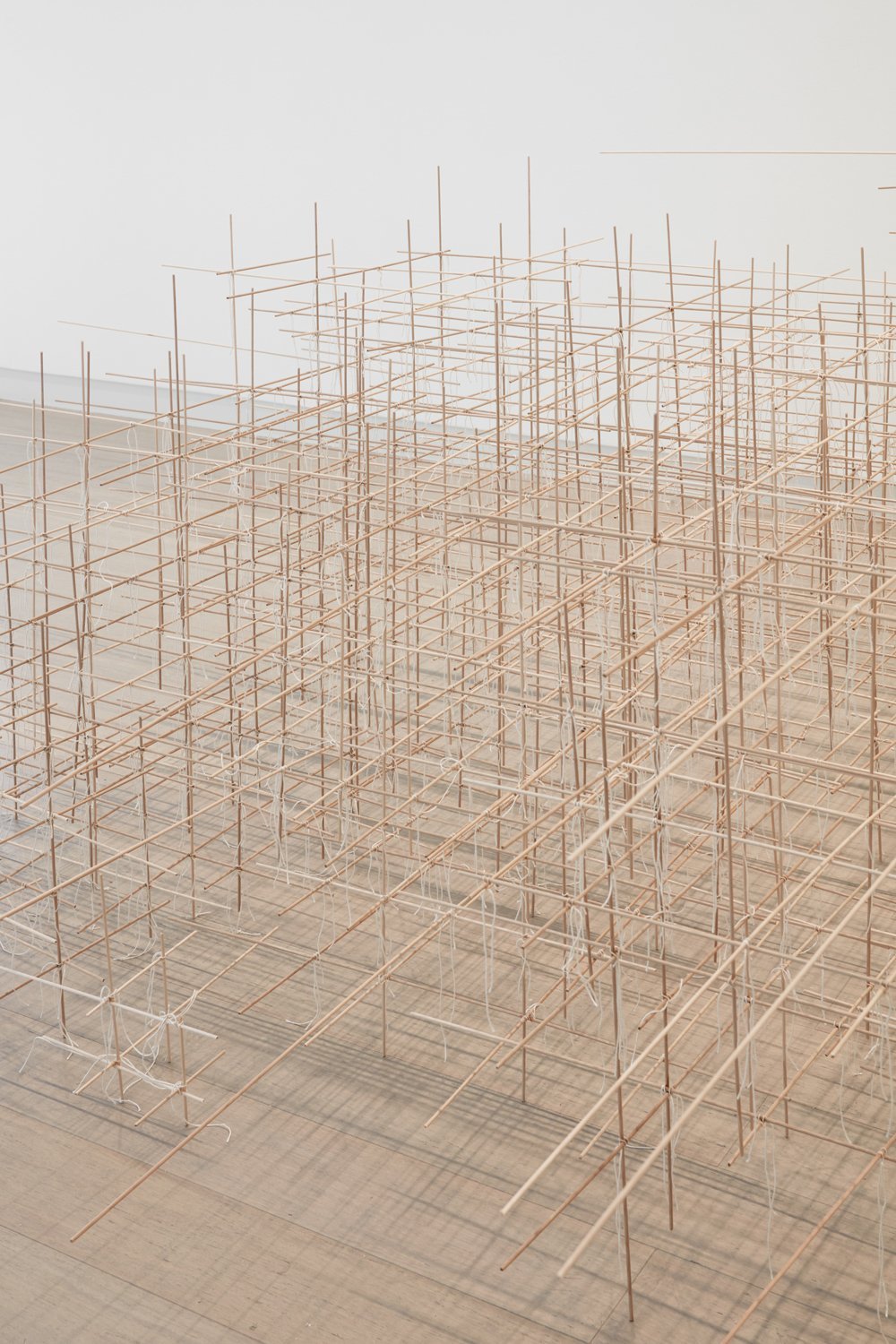 VA_ART_HARRIS_JONATHAN_Untitled+(Viscera)_DETAIL+B.jpg