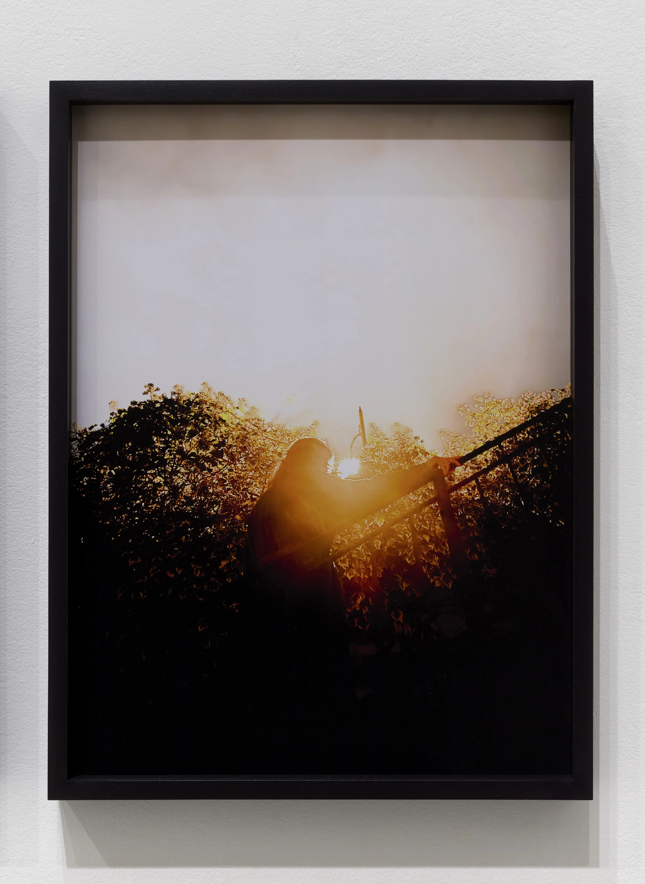 VA_ART_ABDIK_HÜSEYIN_Ascending (1).jpg