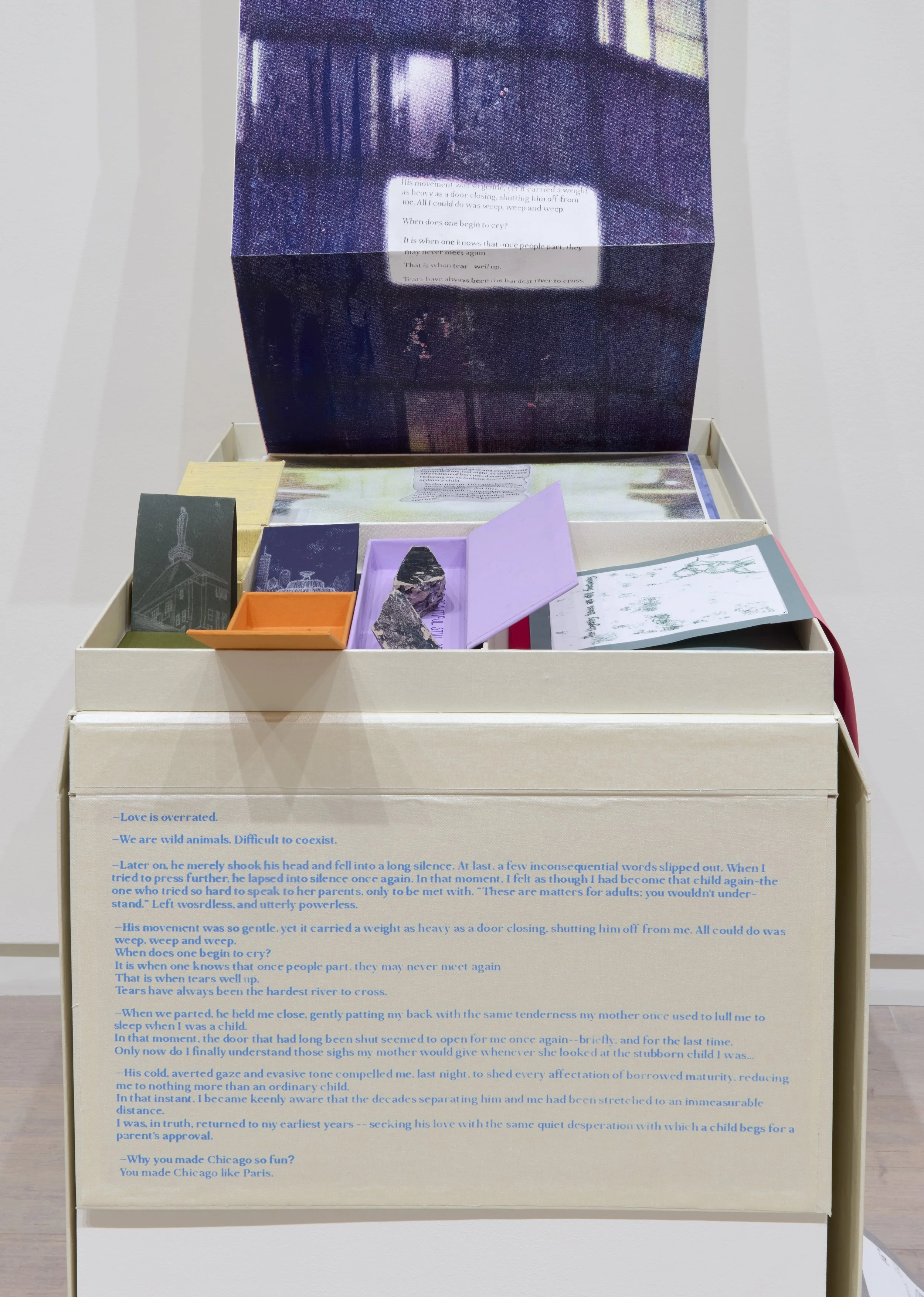 VA_ART_LI_HANWEI_Until Even You Become Childhood_DETAIL 2.jpg