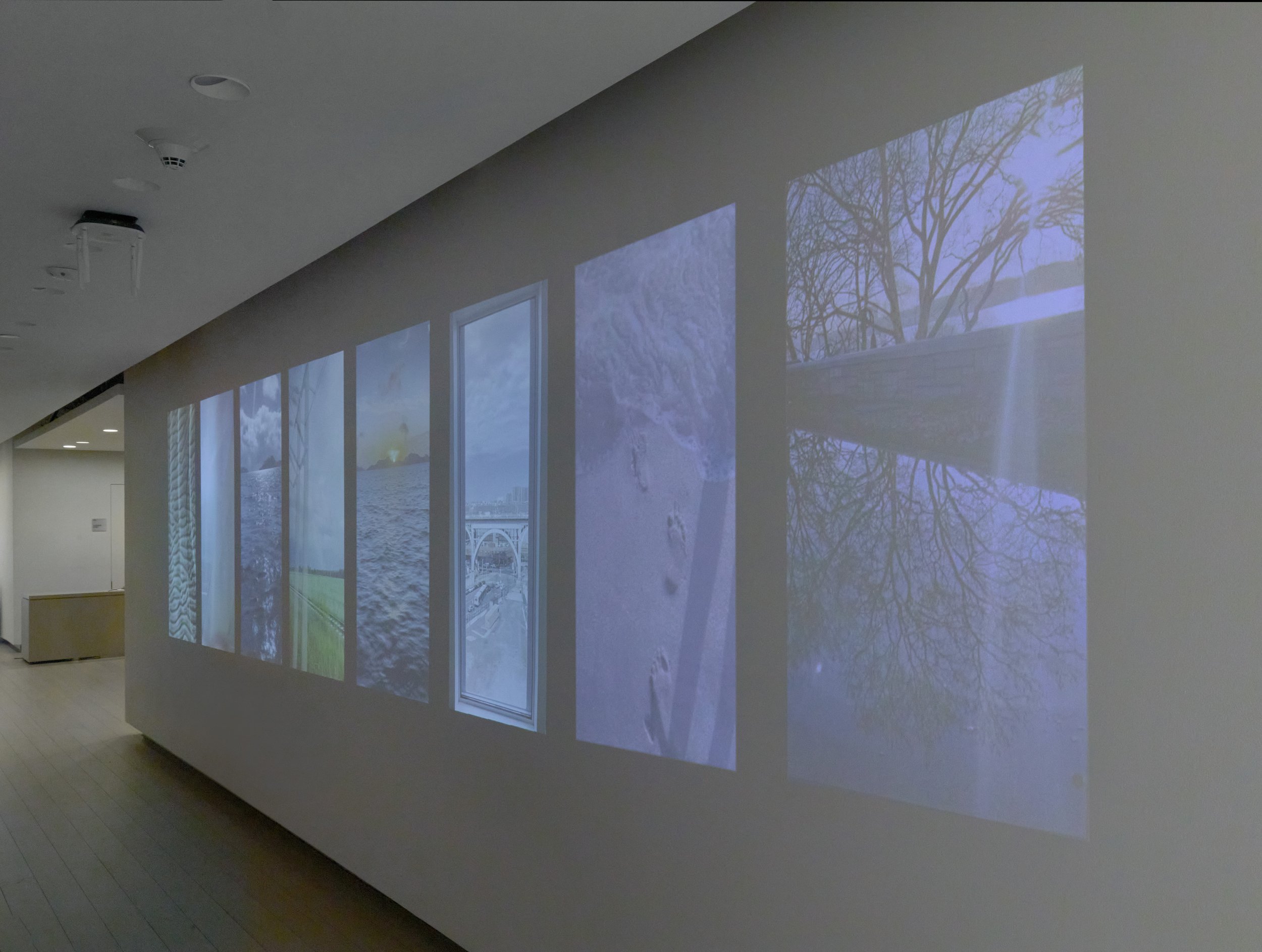 VA_ART_MOSES_NETA_Window TV_2.jpg