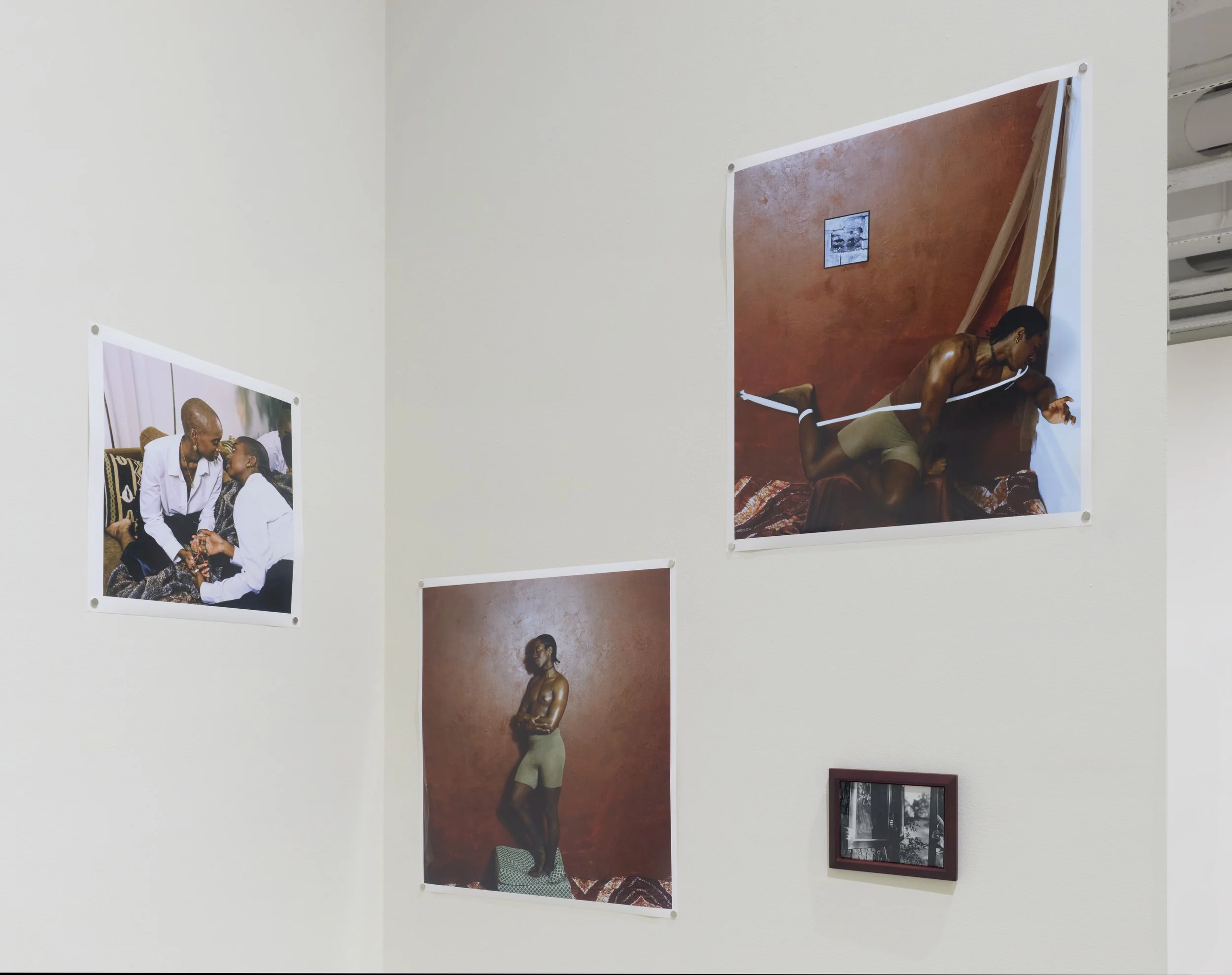 VA_ART_OSUNLANA_MARY_Decoy_DETAIL 2.jpg